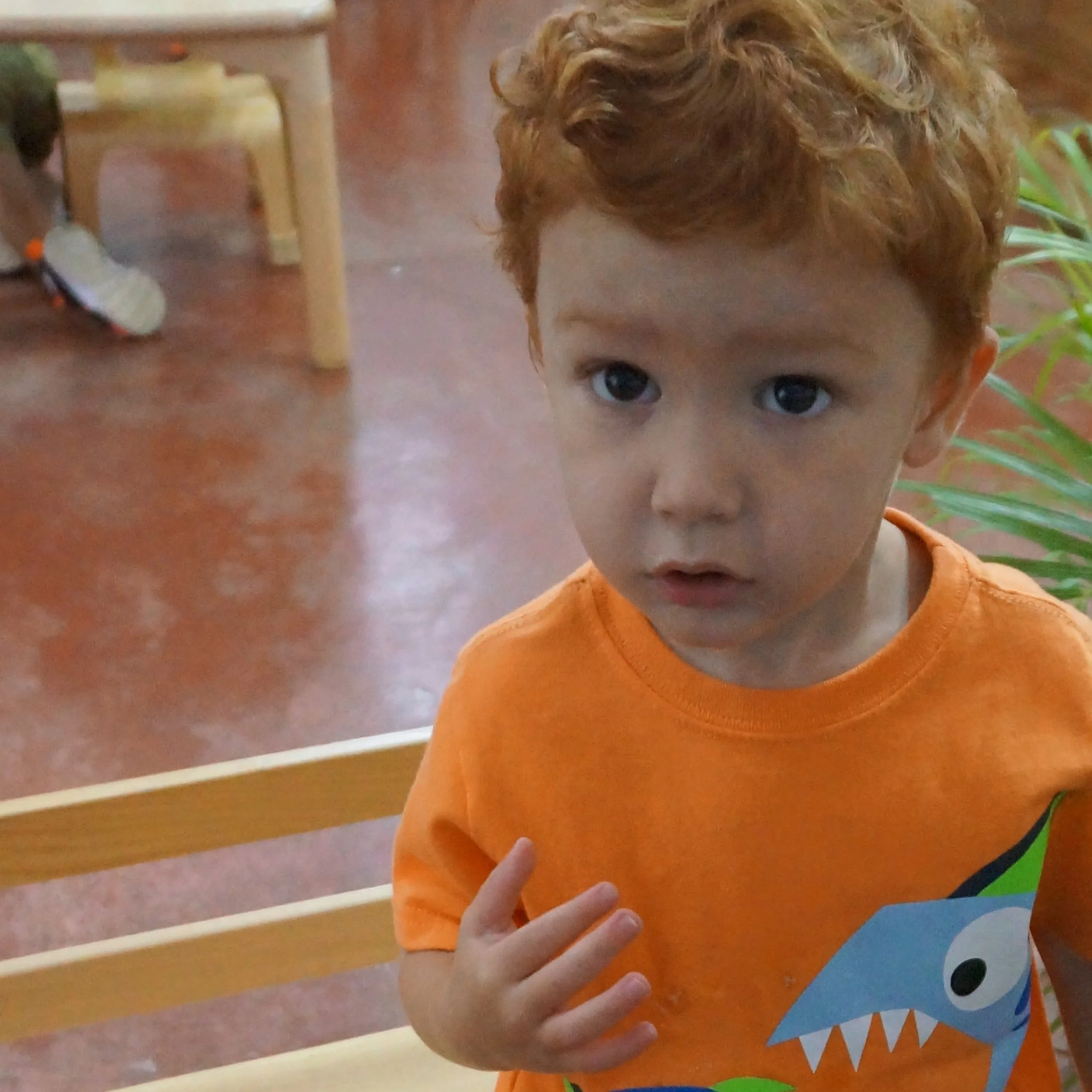 Living Montessori
