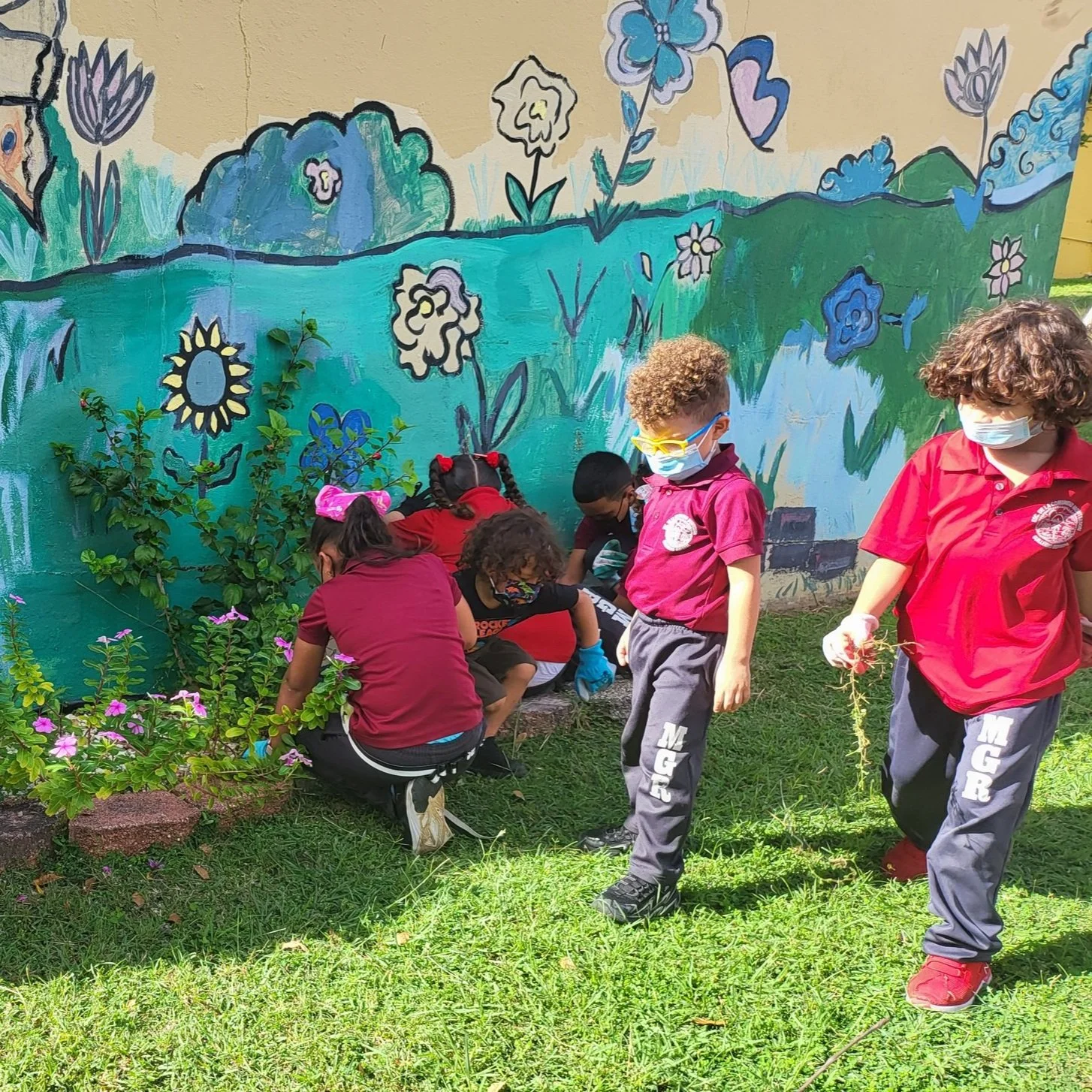 Escuela pública Montessori en Patillas se mueve a la ecología