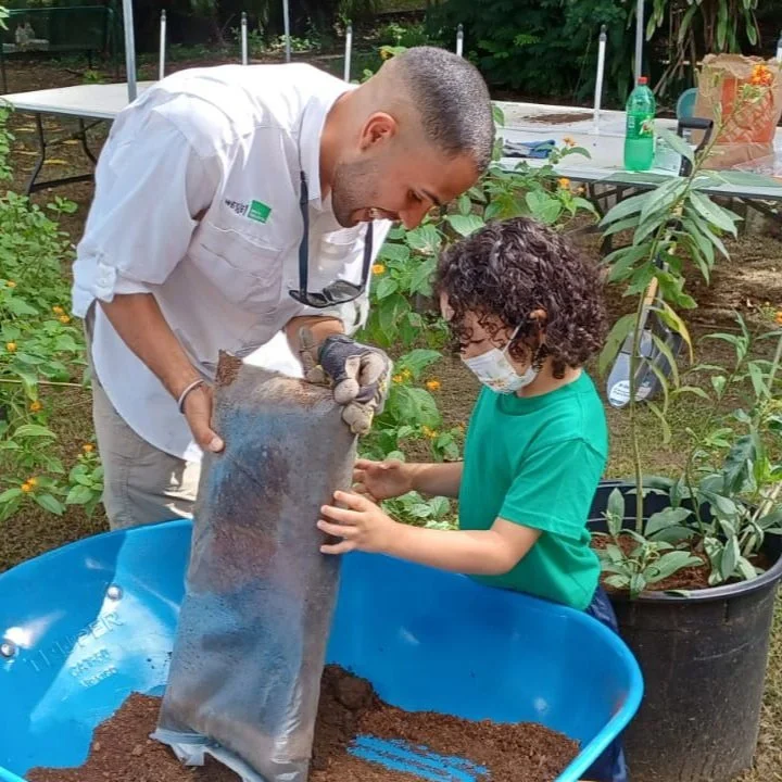 Inclusive pollinator garden