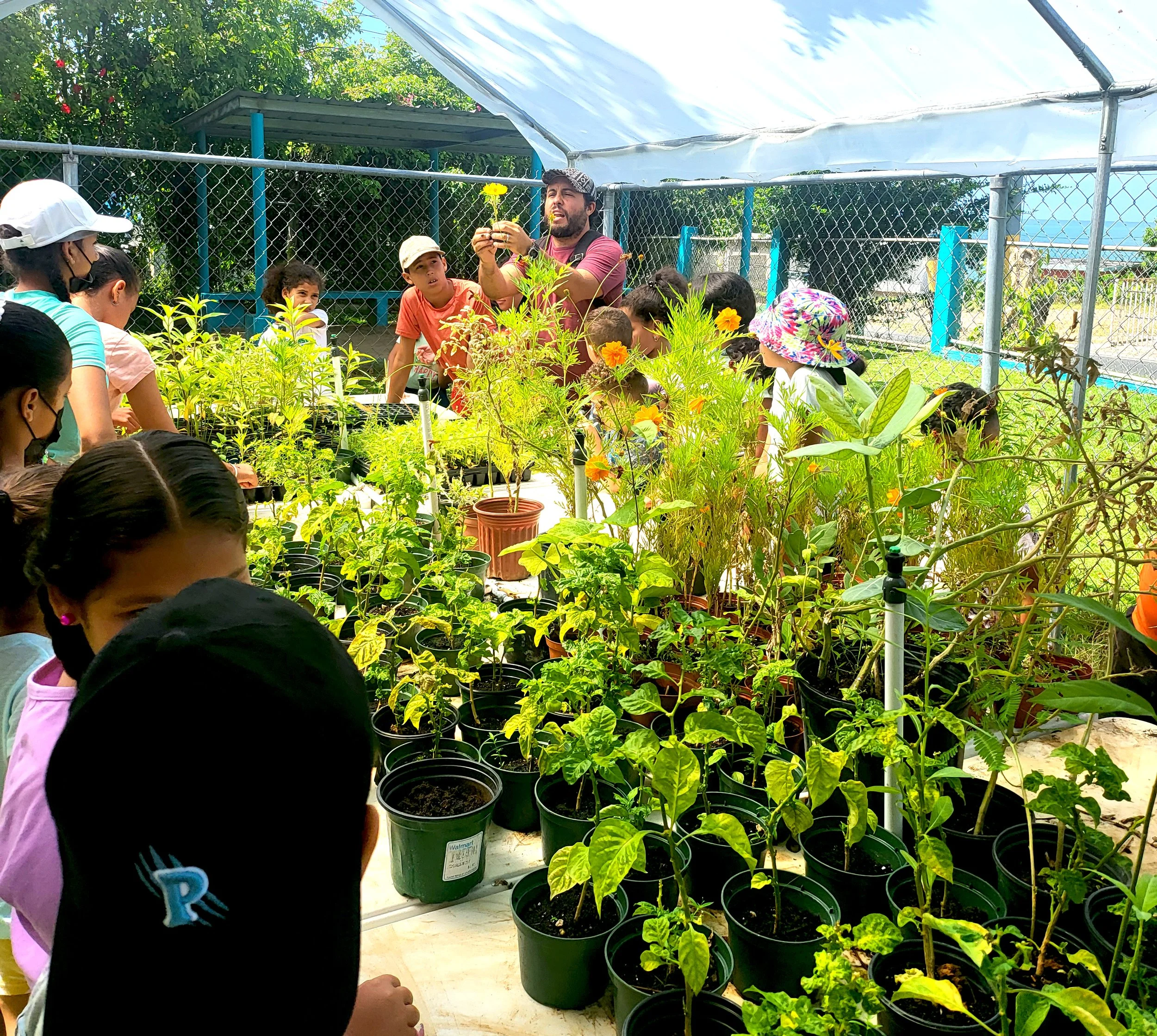 The Guillermo Reifkhol school in Patillas offered its first ecological camp