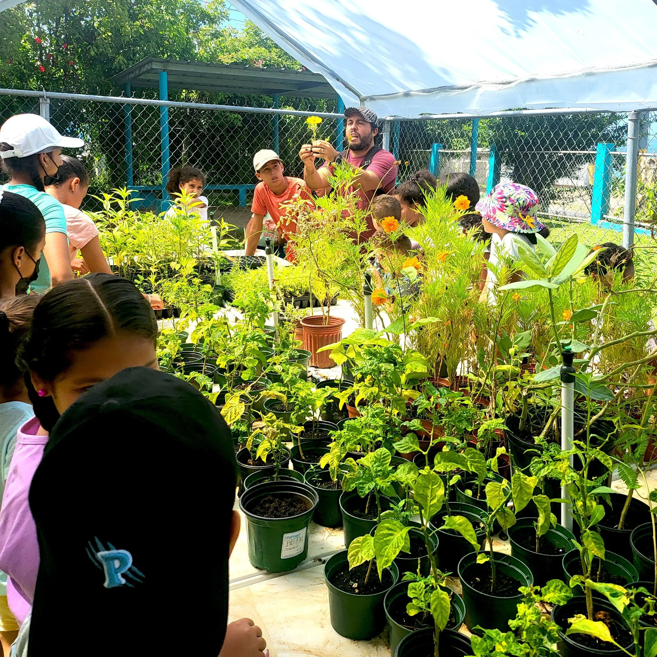 La escuela Guillermo Reifkhol en Patillas brindó su primer campamento ecológico