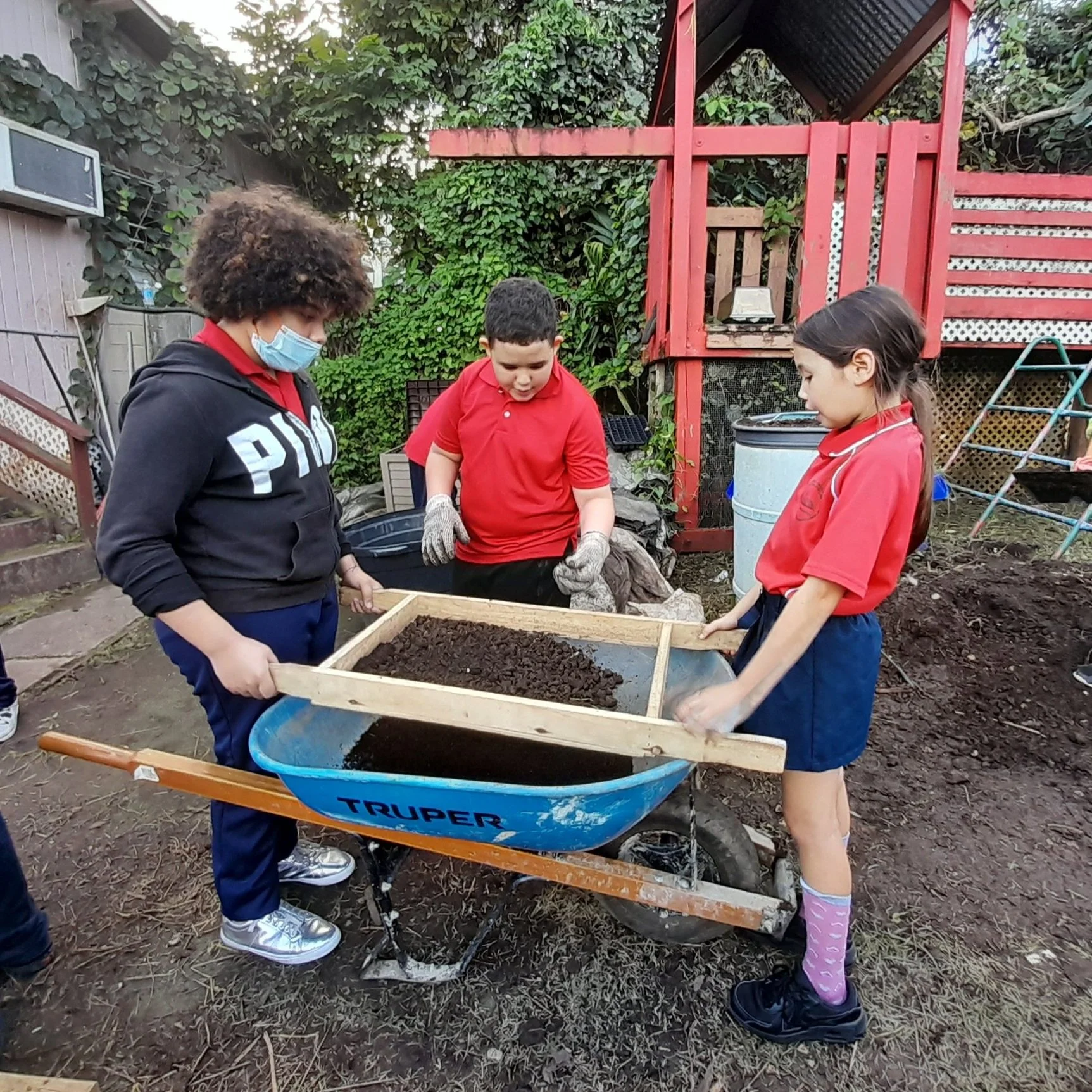  Se fortalecen los proyectos ambientales en las escuelas públicas Montessori 