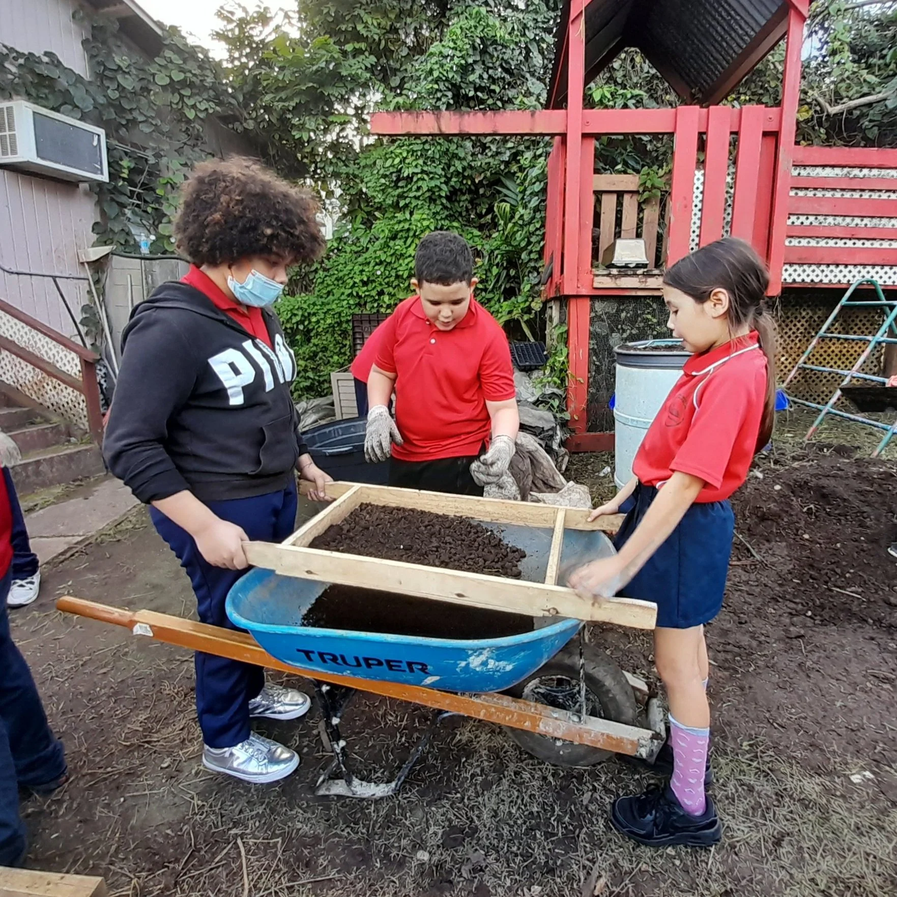 Environmental projects are strengthened in Montessori public schools