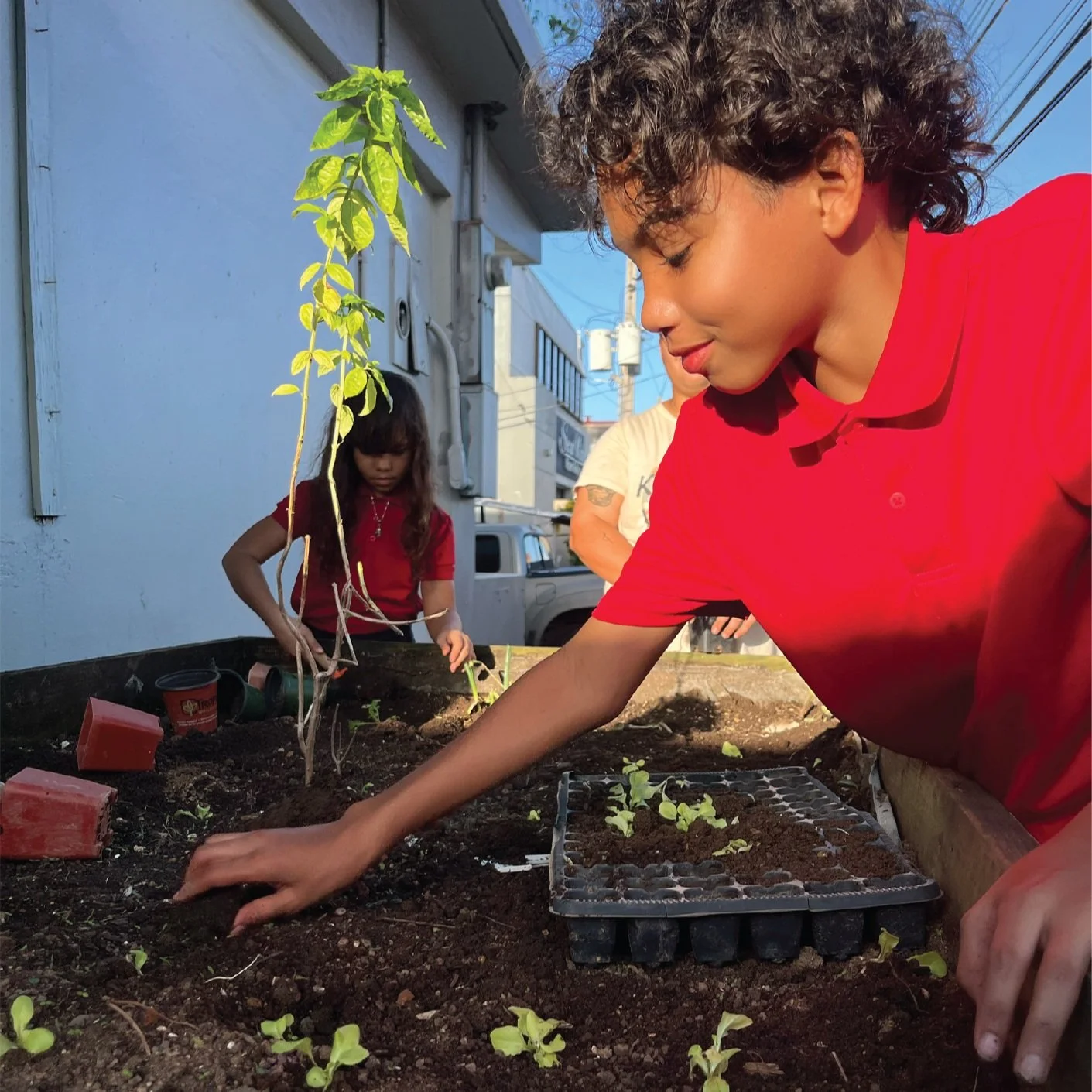 93% of students feel happy being immersed in nature