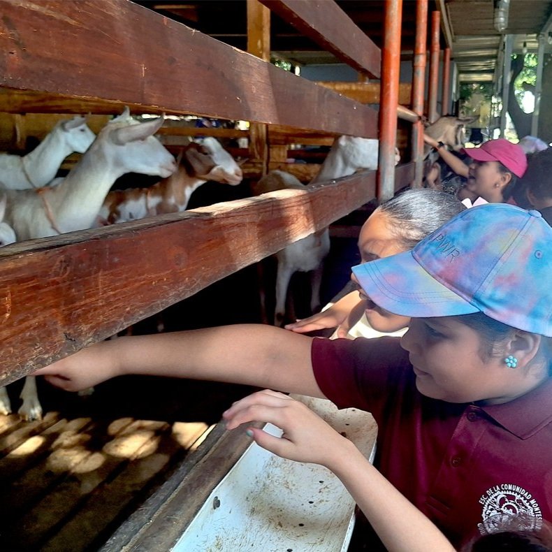 Students enjoy excursions and visits to natural spaces