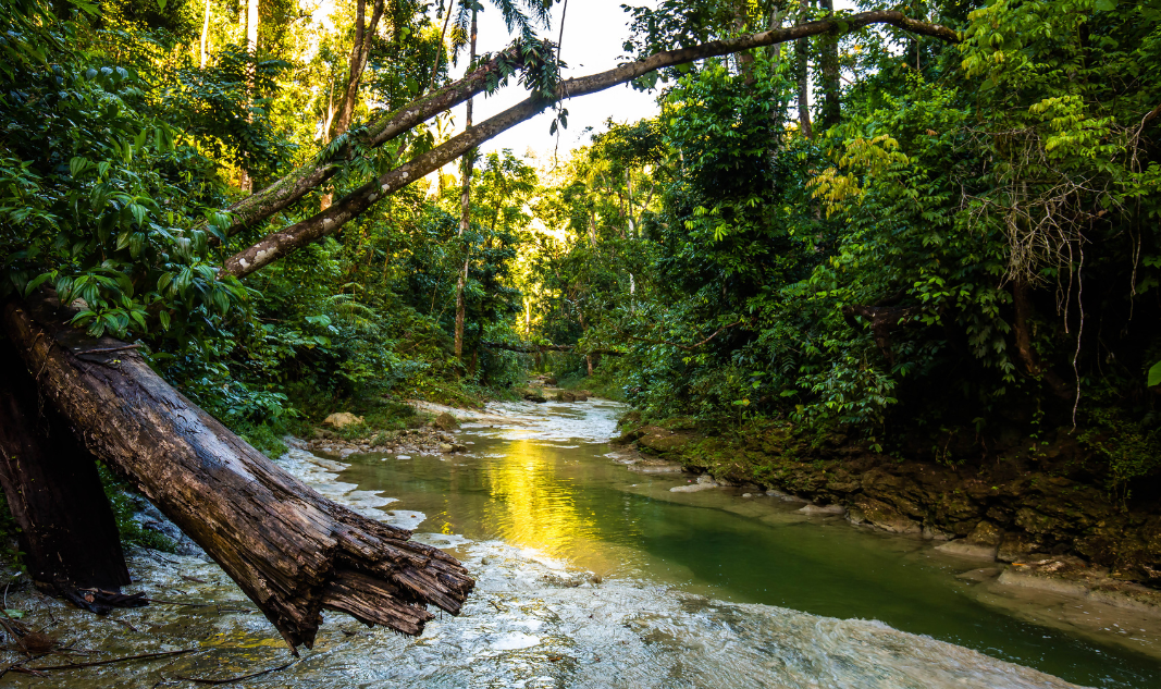 La crisis invisible del agua y su impacto en la niñez: investigación une a Puerto Rico y Navajo Nation