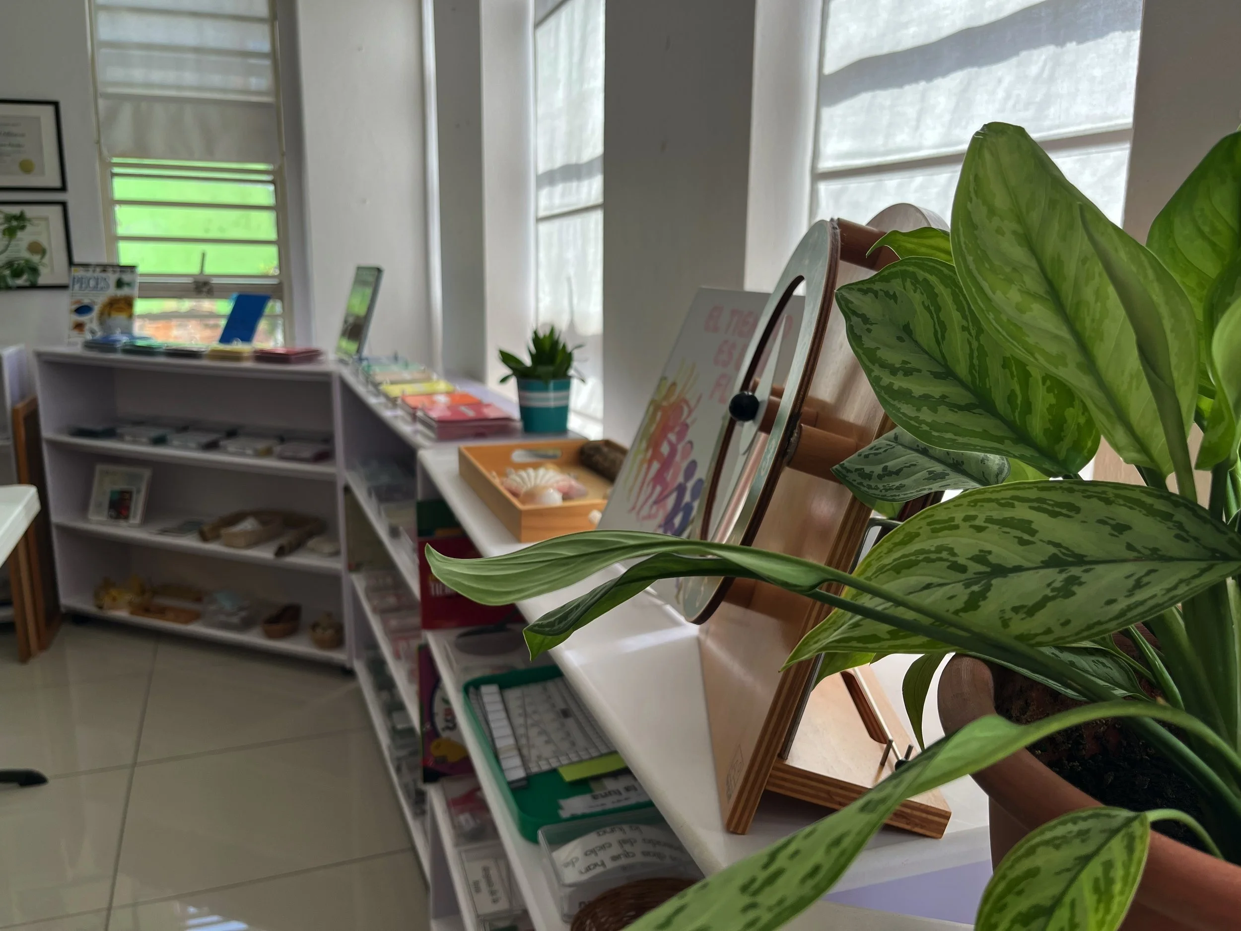 Everything is ready to start the Montessori training courses in 2026