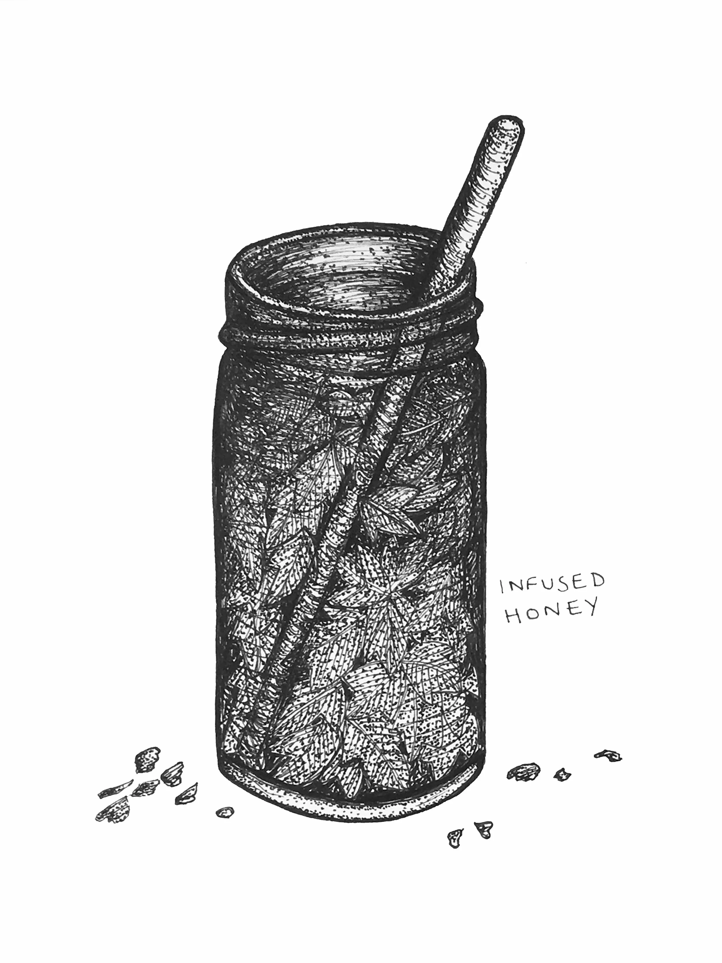 An illustration of herb infused honey, which I made for a project I am working on with Lynn.