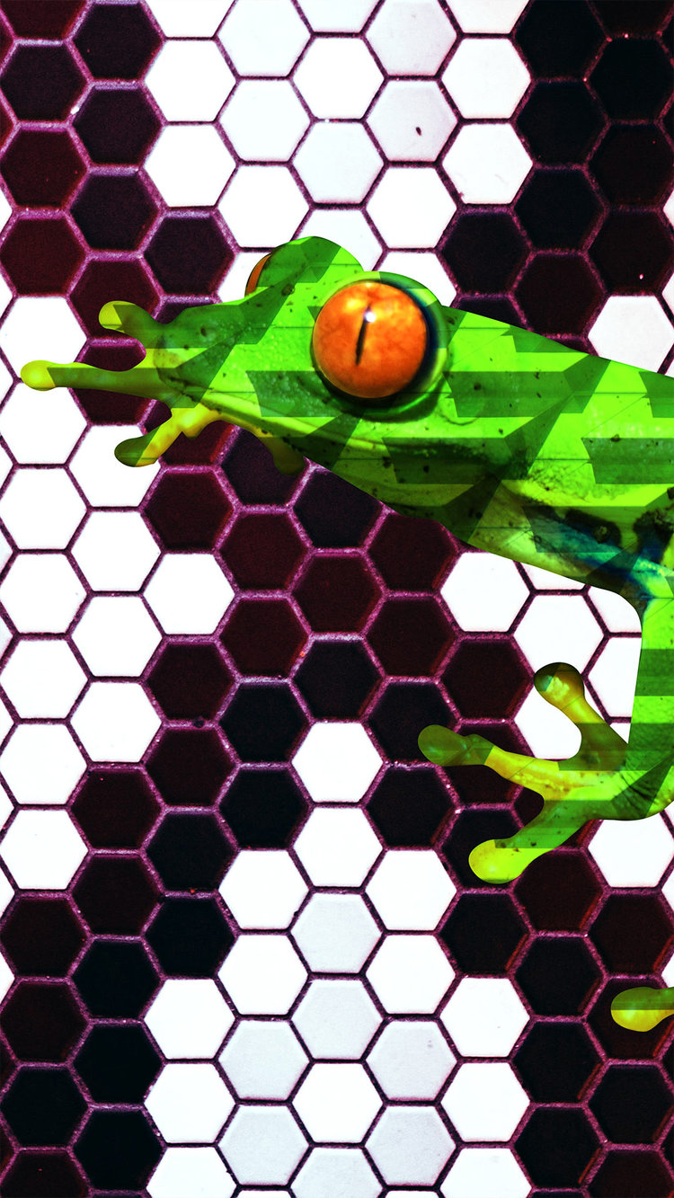 FreshieTheFrog_Pixels.jpg