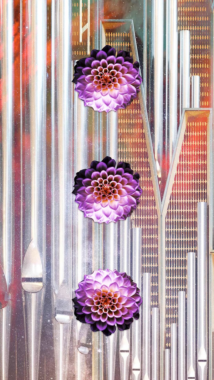 GetFree_Pixels.jpg