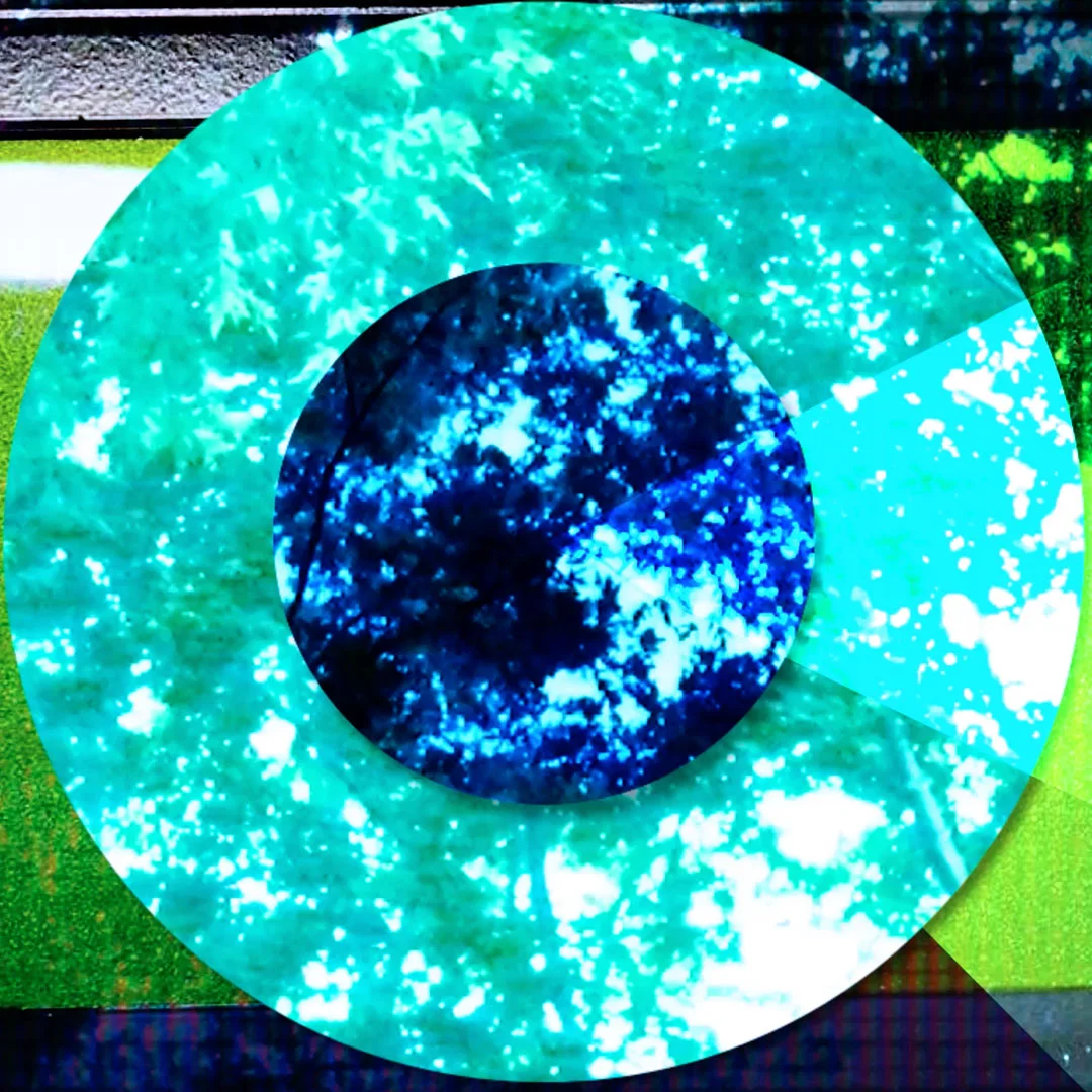 SnackWorkPeaceTrees.jpg