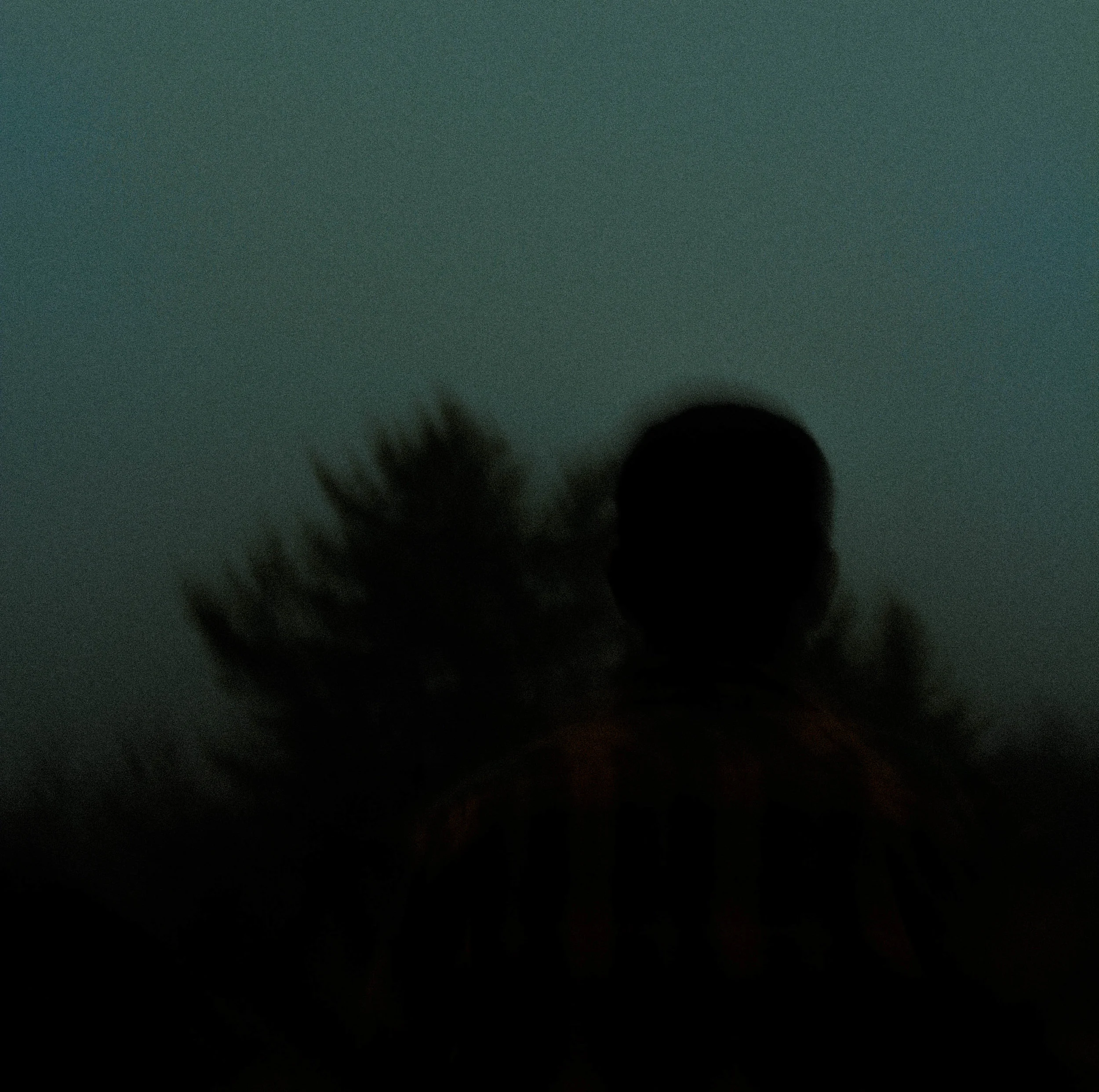 fog[b].jpg