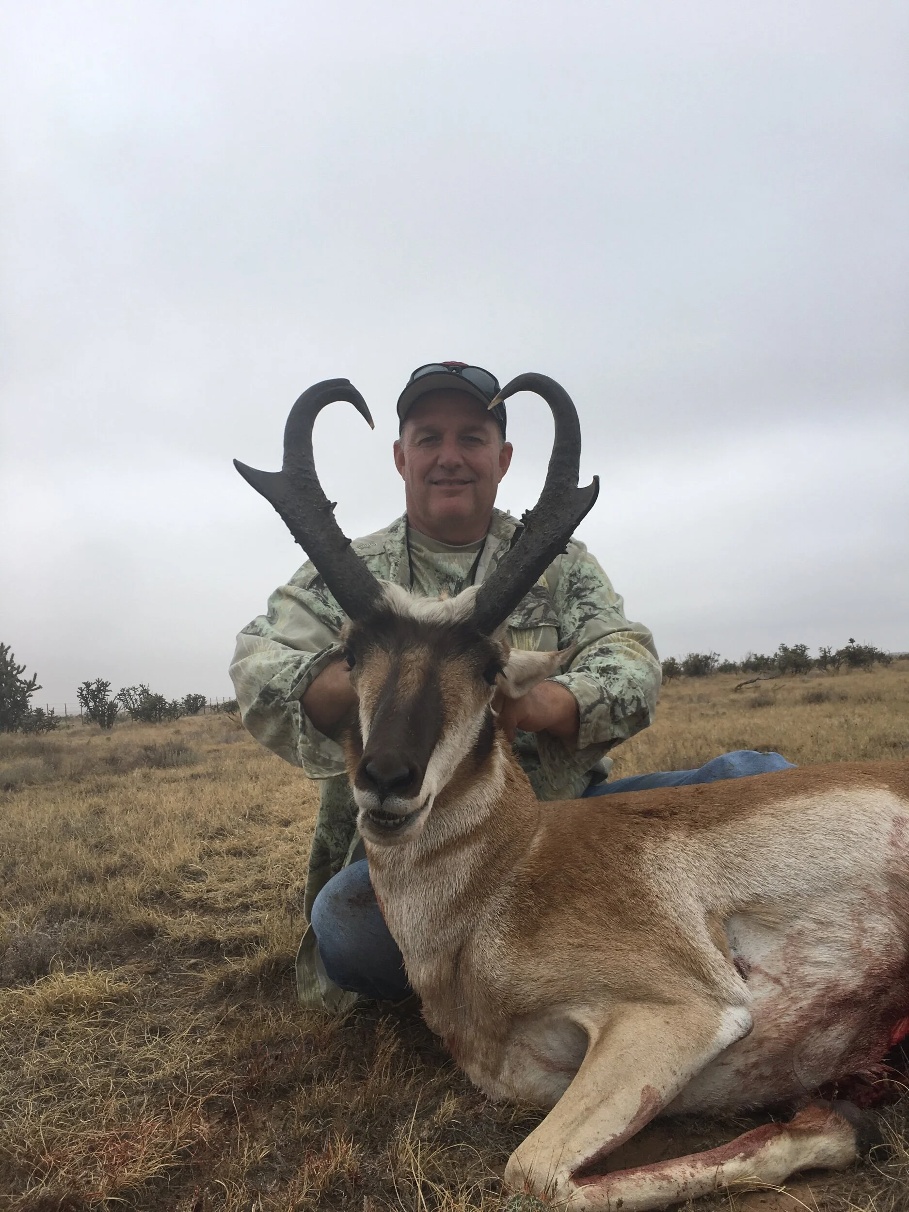 2019-08-27 090129-2504503.jpeg