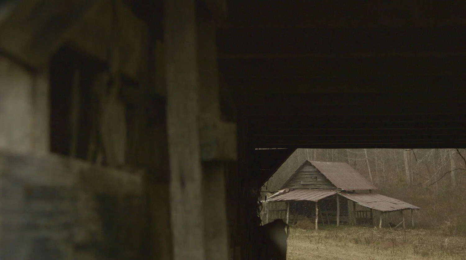 barn-sized.jpg
