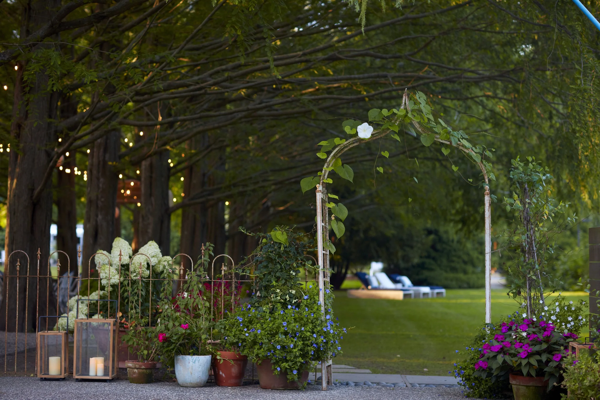 Garden entrance with lanterns and lush greenery