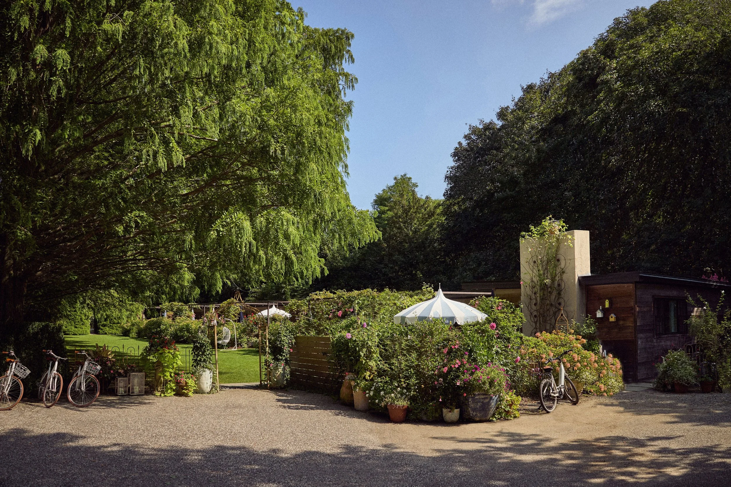 Cozy outdoor seating and garden path surrounded by trees