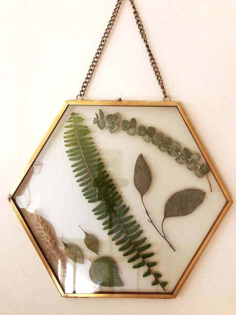 fern2.jpg