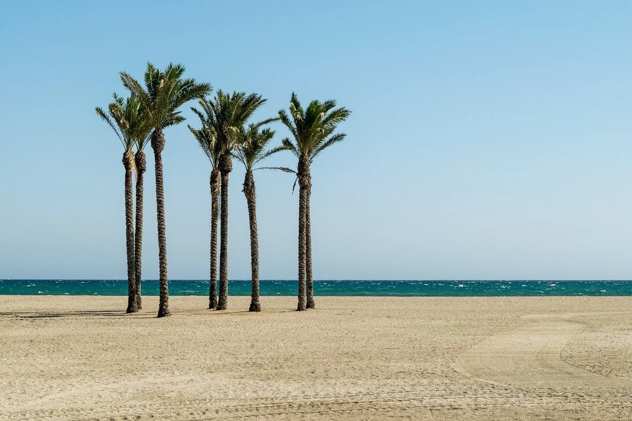 Post-Holiday Tranquility: Embracing the Mellow Vibes of Venice Beach