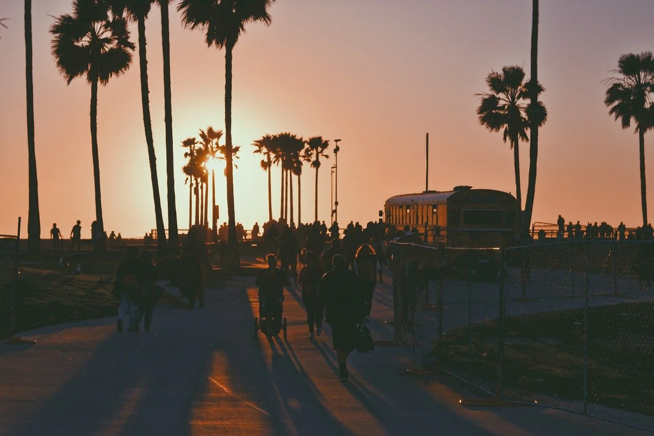 Never Fear, Summer is Near