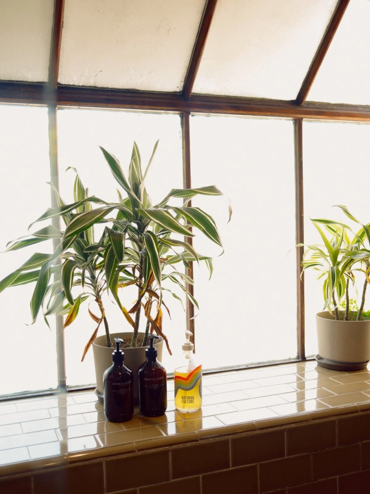 Spring break, but make it slow mornings and ocean air. 

#explore #beachdays #staycation