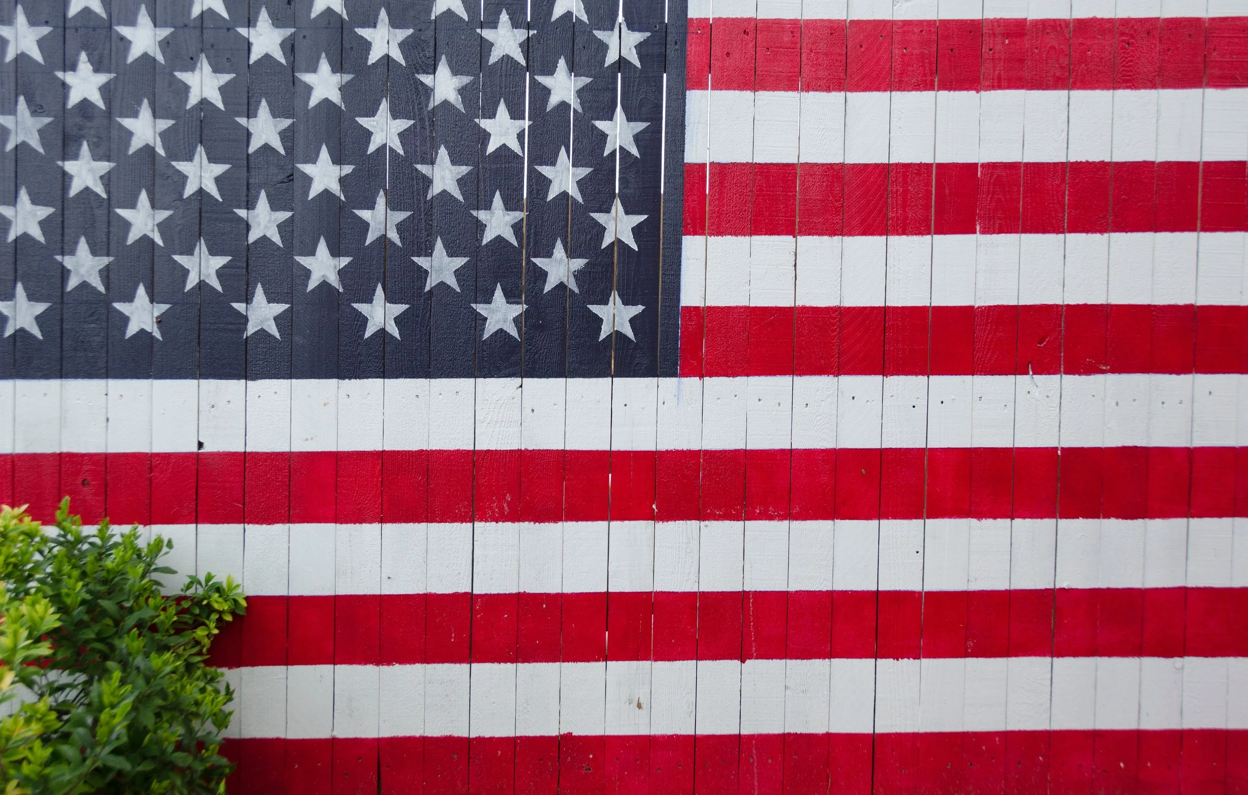 Stars & Stripes & Snow, Oh My!