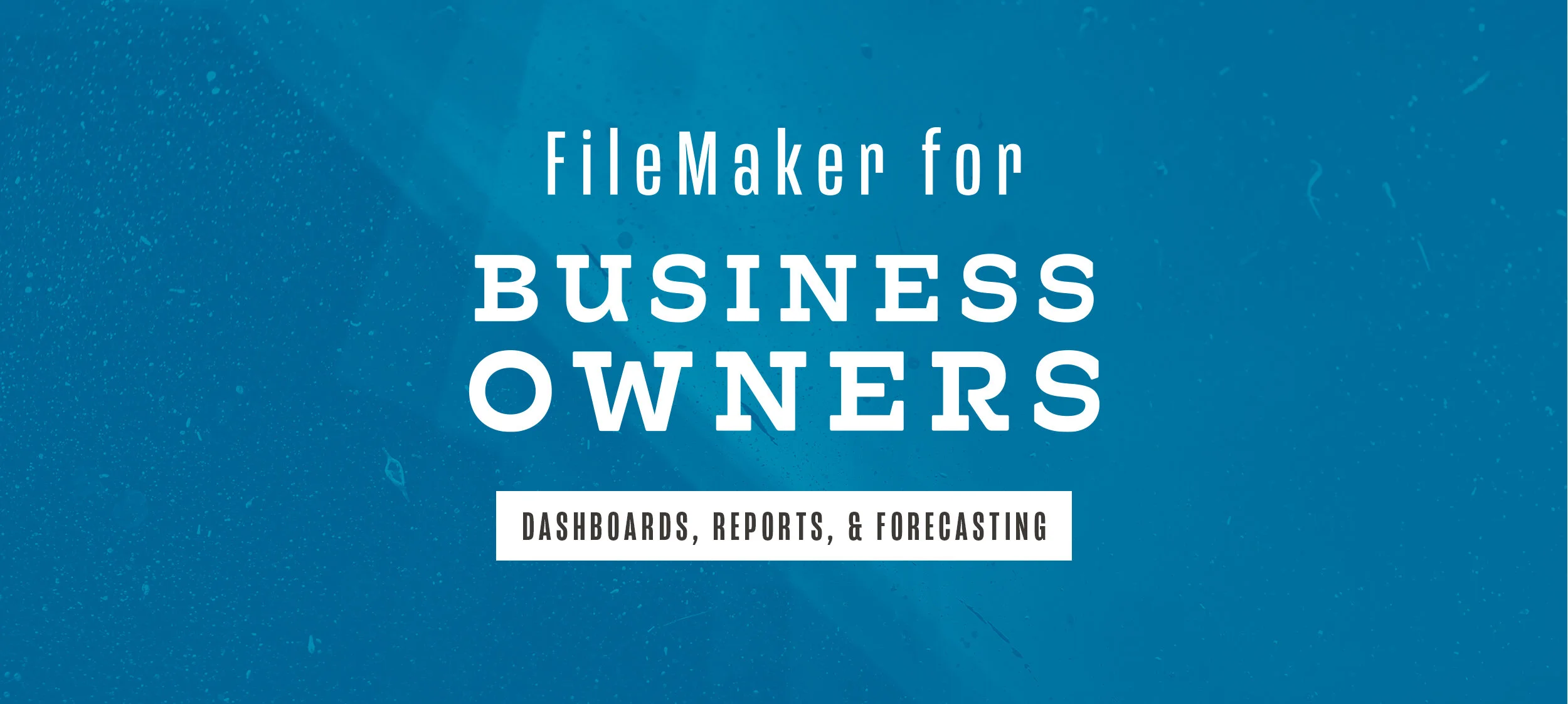 FileMaker for Business Owners