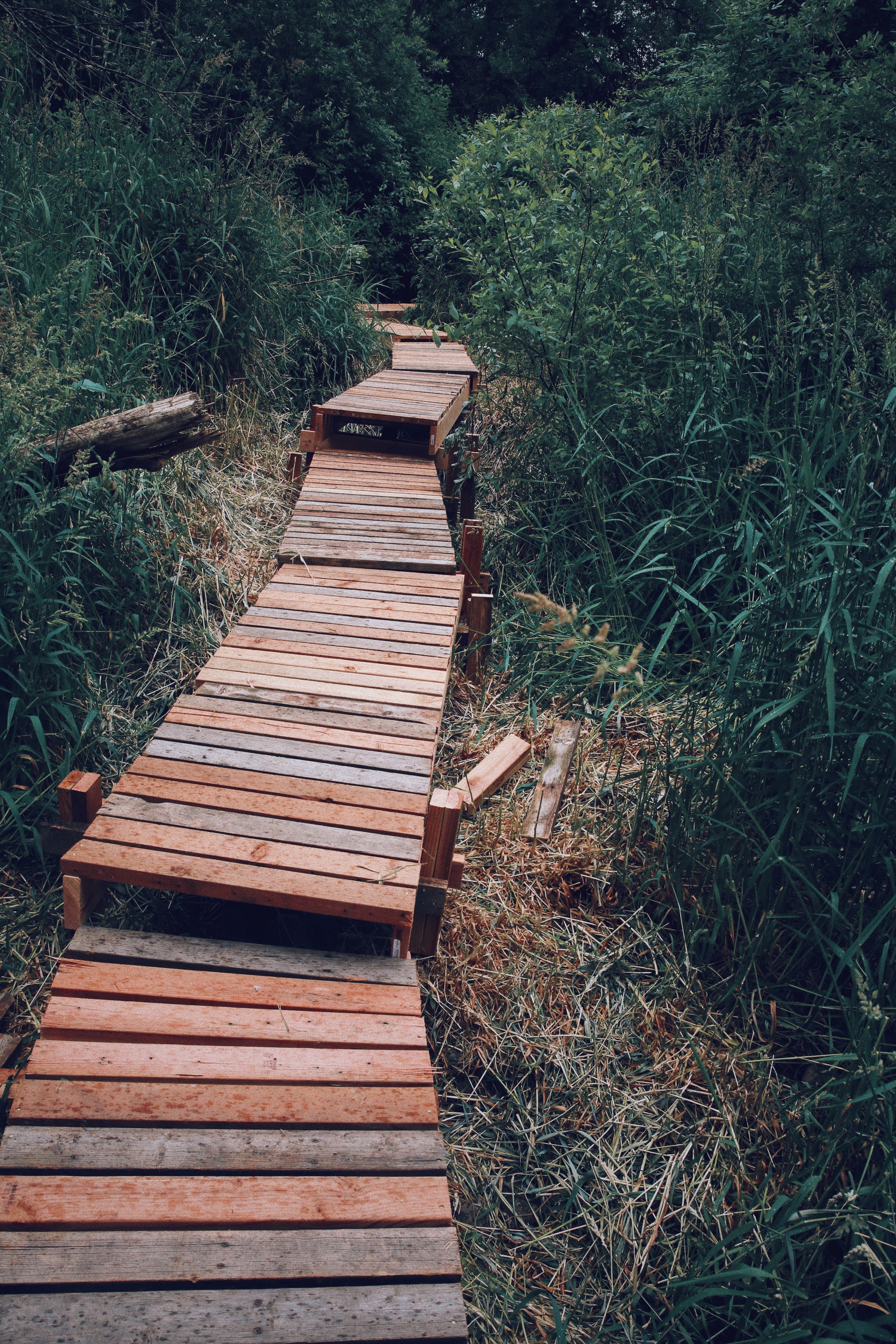 Boardwalk near green cabin