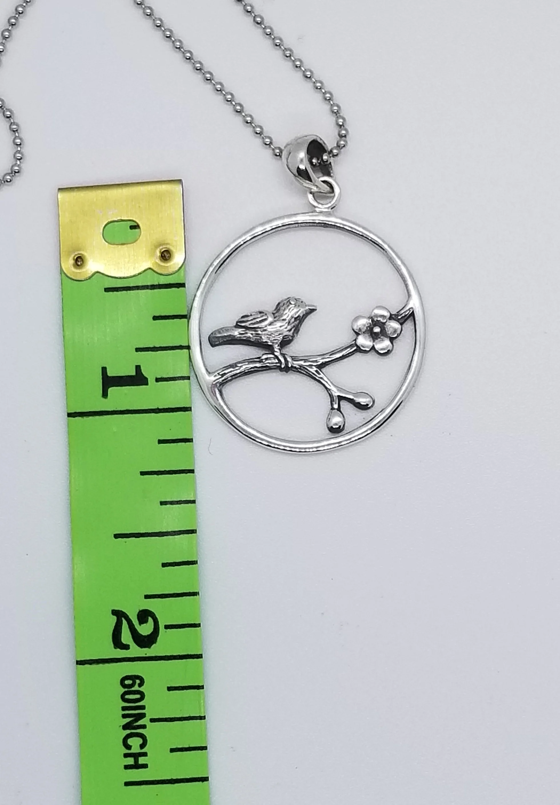 Bird20180901_090022.jpg