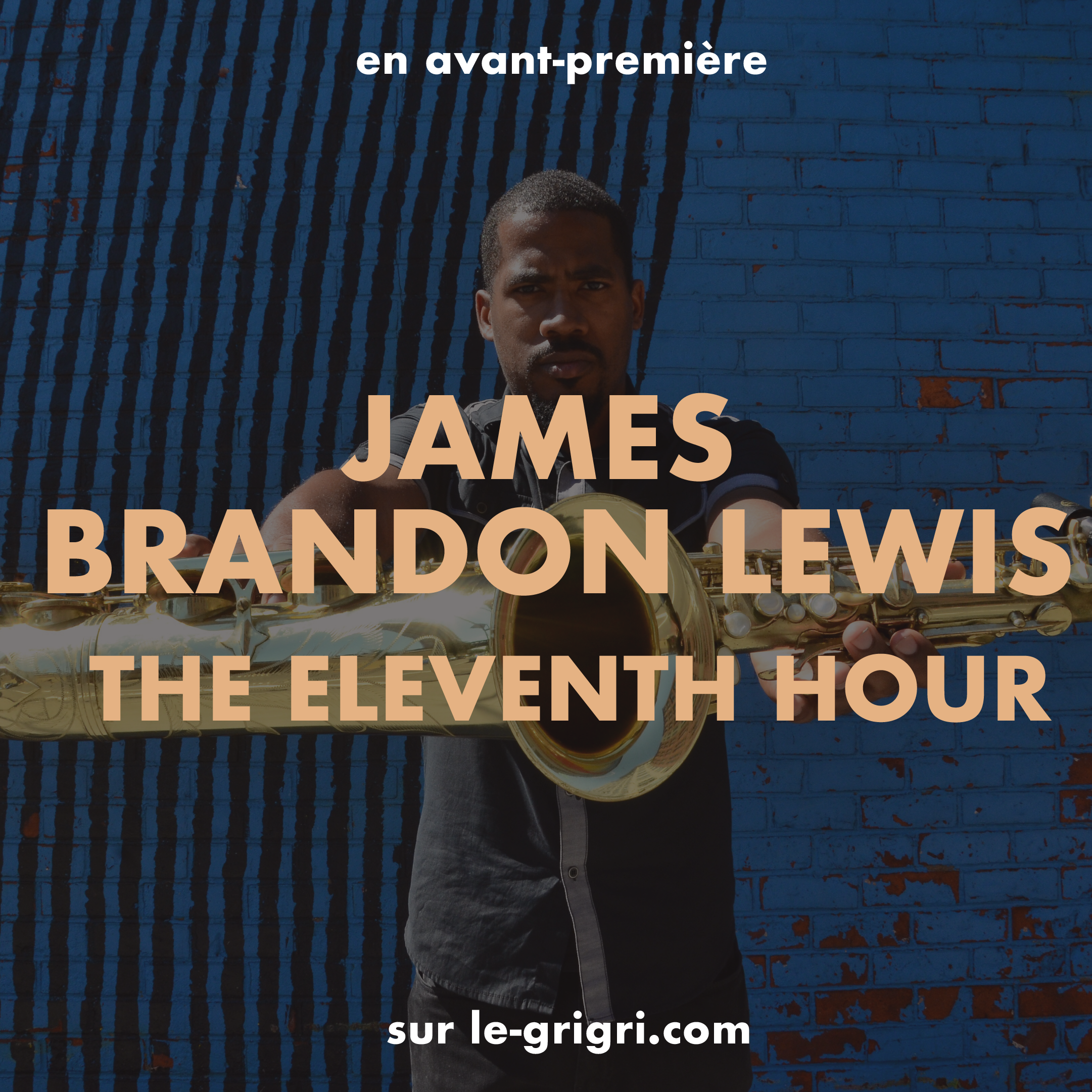 exclu james brandon lewis.png