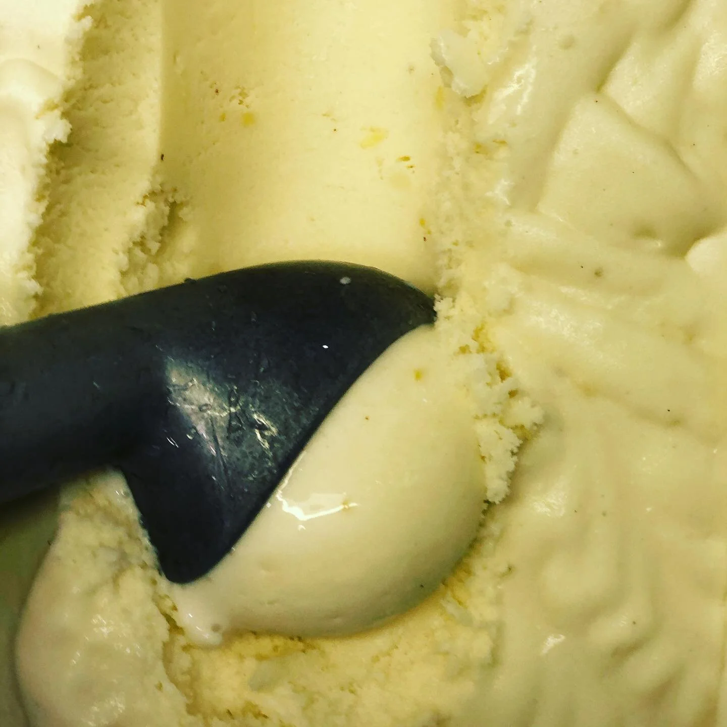 Have a major crush on all fresh herbs 😍

Here&rsquo;s a lemon tarragon custard that&rsquo;s out now. It&rsquo;s lemony, bright, and earthy and green. 

Hard to beat fresh tarragon and lemons in an ICE CREAM CONE! Come down quick because the sage hon