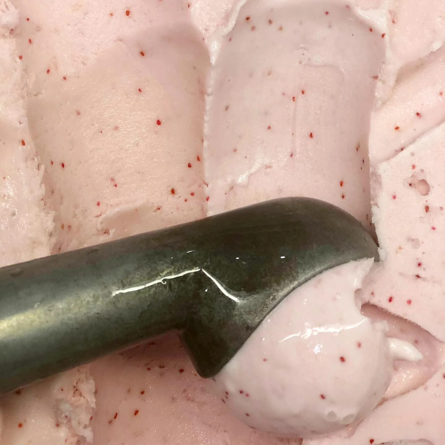 Huckleberry ice cream!

Come try this unique, local, and VERY seasonal ice cream! Available in dairy and vegan by the cone only.

Definitely worth coming down to try this tangy, sweet, and special treat!

#huckleberry #huckleberryicecream #seasonalic