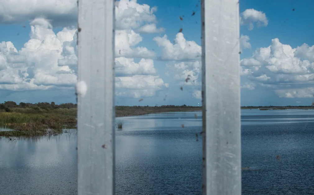 Labyrinth vs. Maze — Kendra Patterson