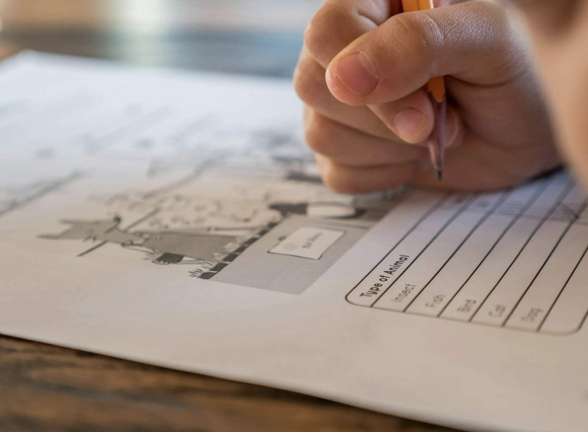 Escalas, testes e exames não fazem diagnóstico de TDAH