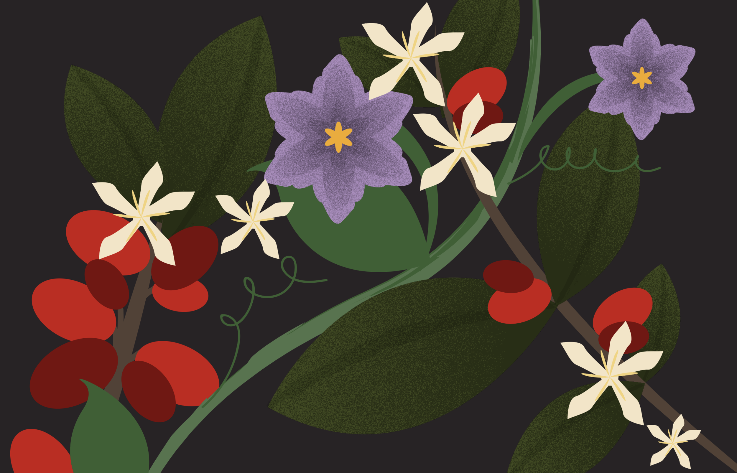 Screen Shot 2020-01-13 at 4.16.09 PM.png