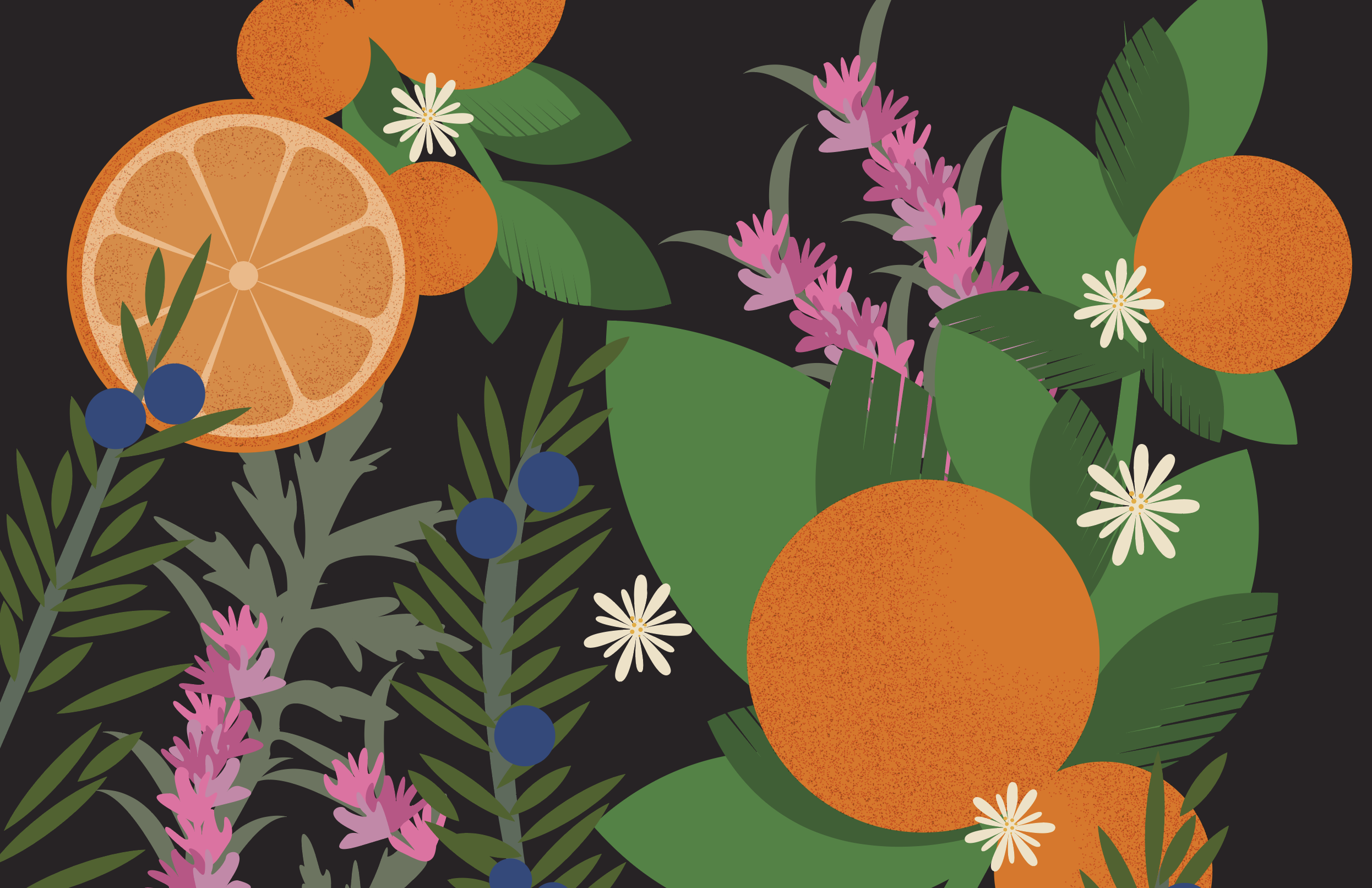 Screen Shot 2020-01-13 at 4.15.36 PM.png