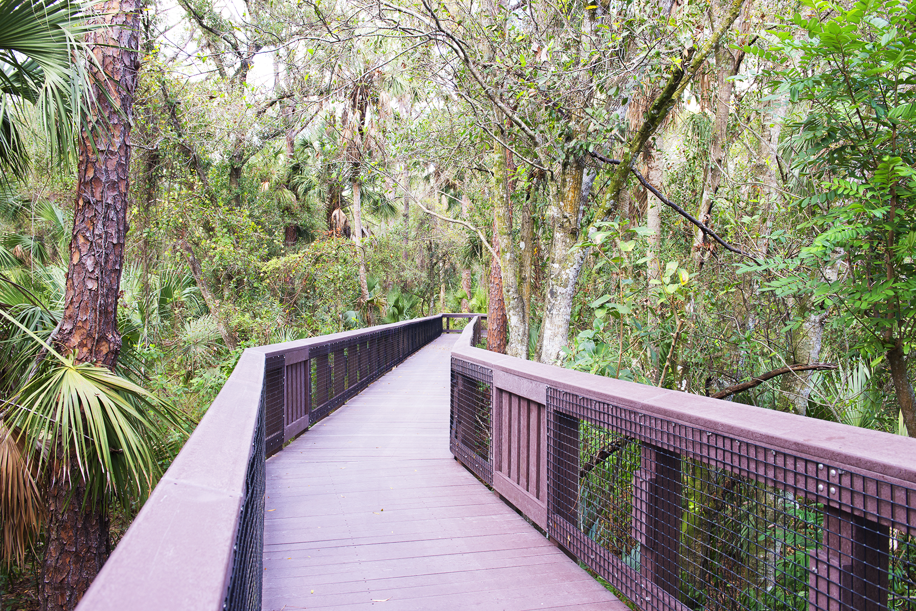 Hidden Gem in Coconut Creek, FL