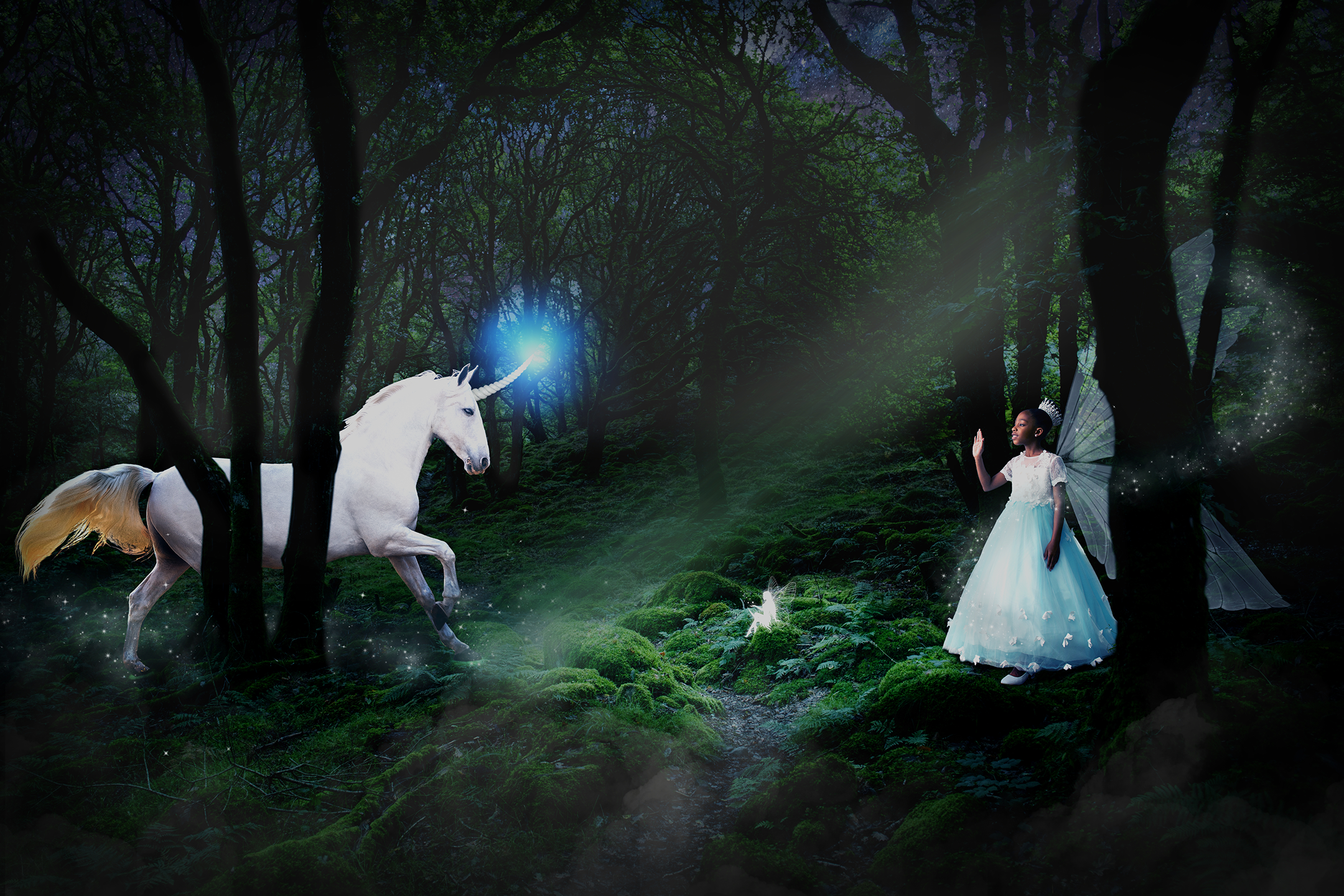 unicorn.best-fort-lauderdale-fantasy-photographer.png
