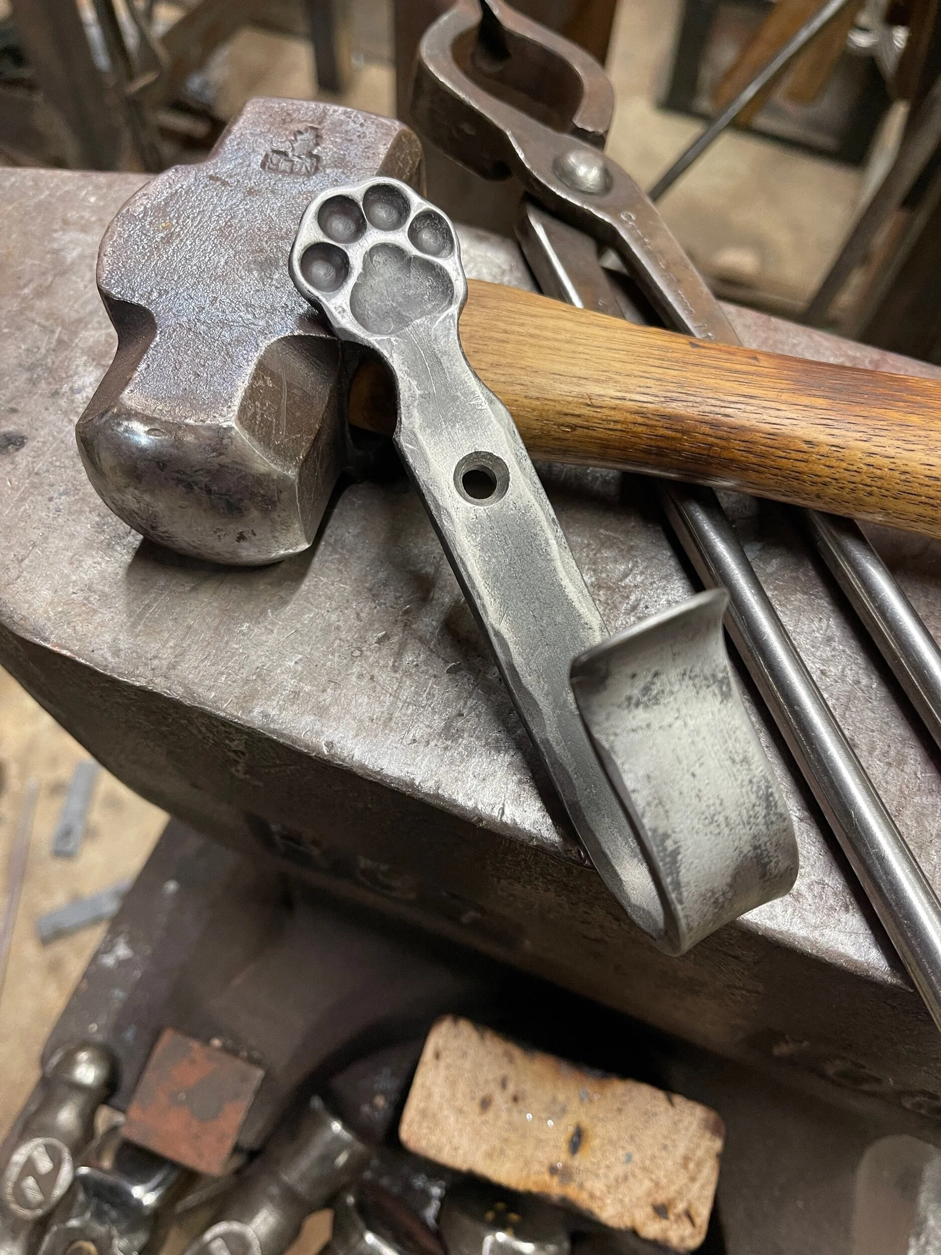 7E419B7C-3CE6-4034-A364-EB54910F7398