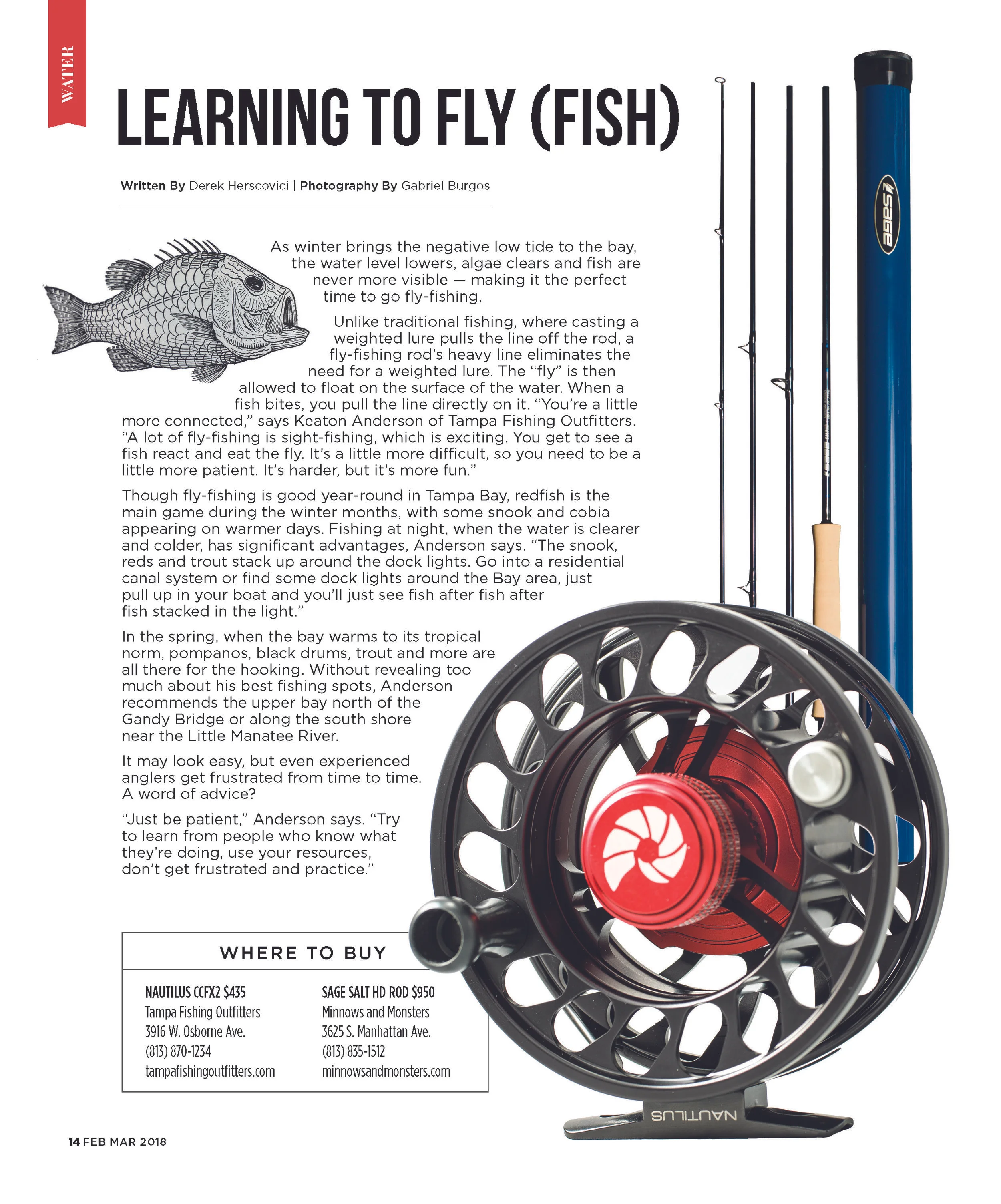 Learning to Fly(fish)