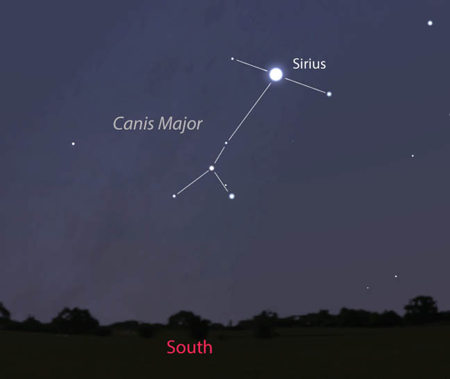 Сириус 2024 где находится. Самая яркая звезда на небе. Сириус звезда на небе. Звезда Сириус на ночном небе. Сириус на небосводе.