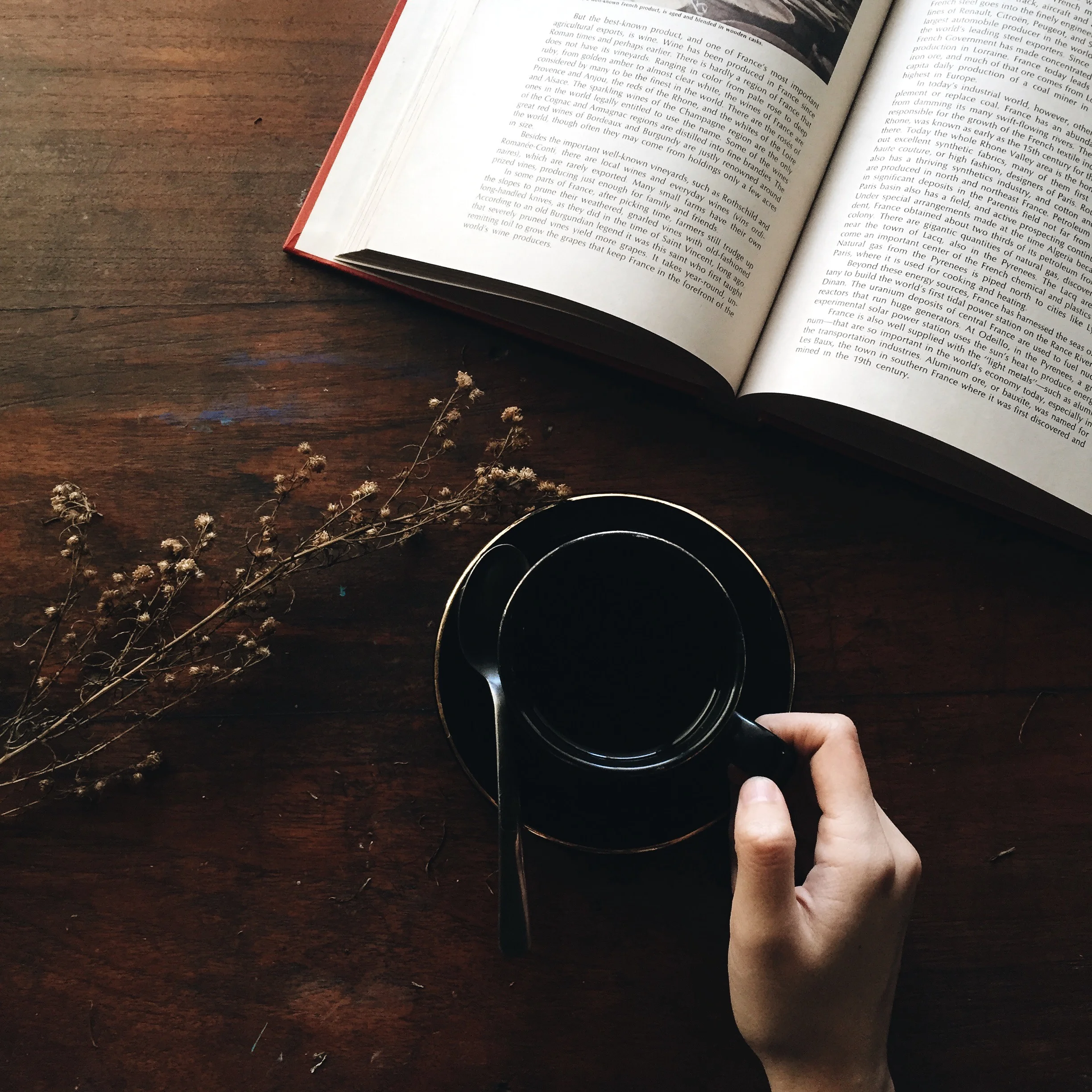 Cafe of Life: Reading in person & online