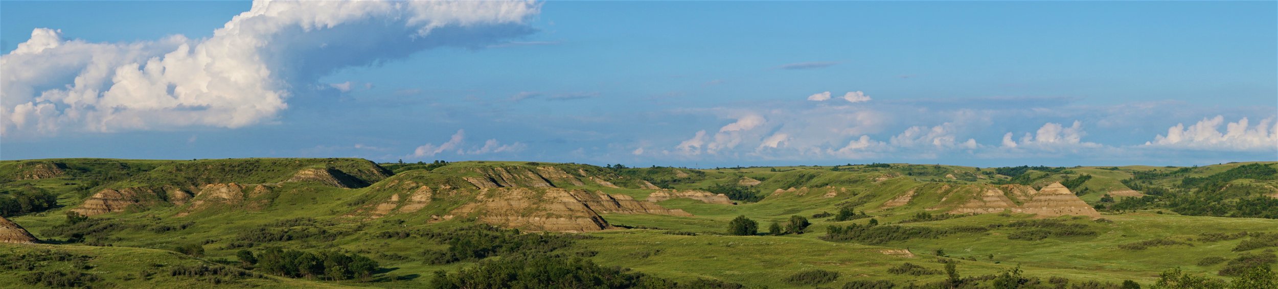 N pasture panaramic.jpg