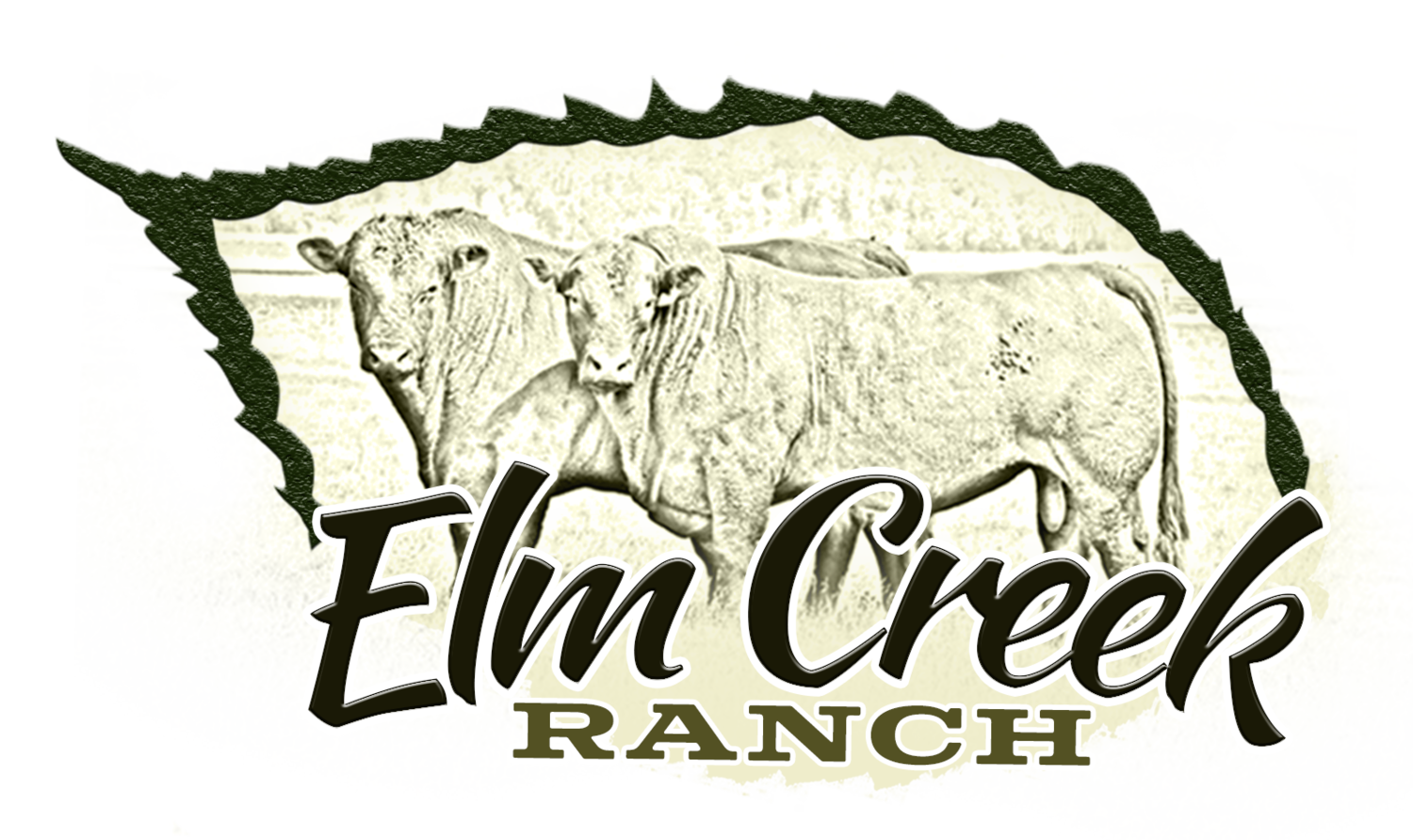Elm Creek Ranch