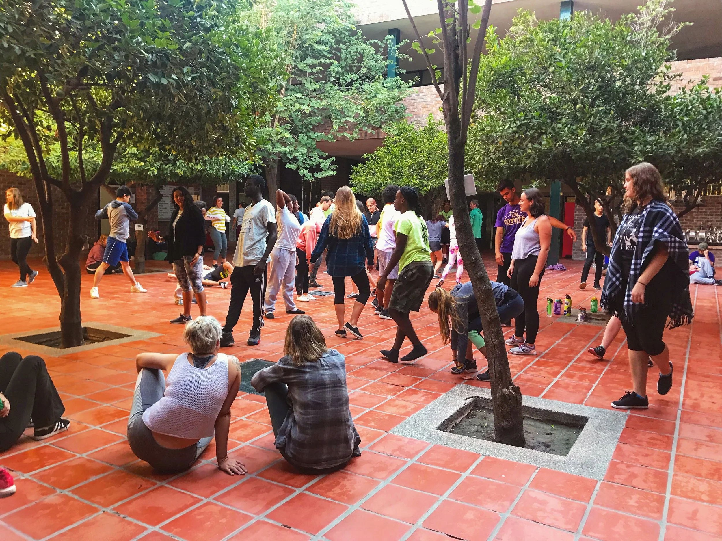 A large group of people wearing movement clothing in a courtyard stretching, dancing, walking, and sitting