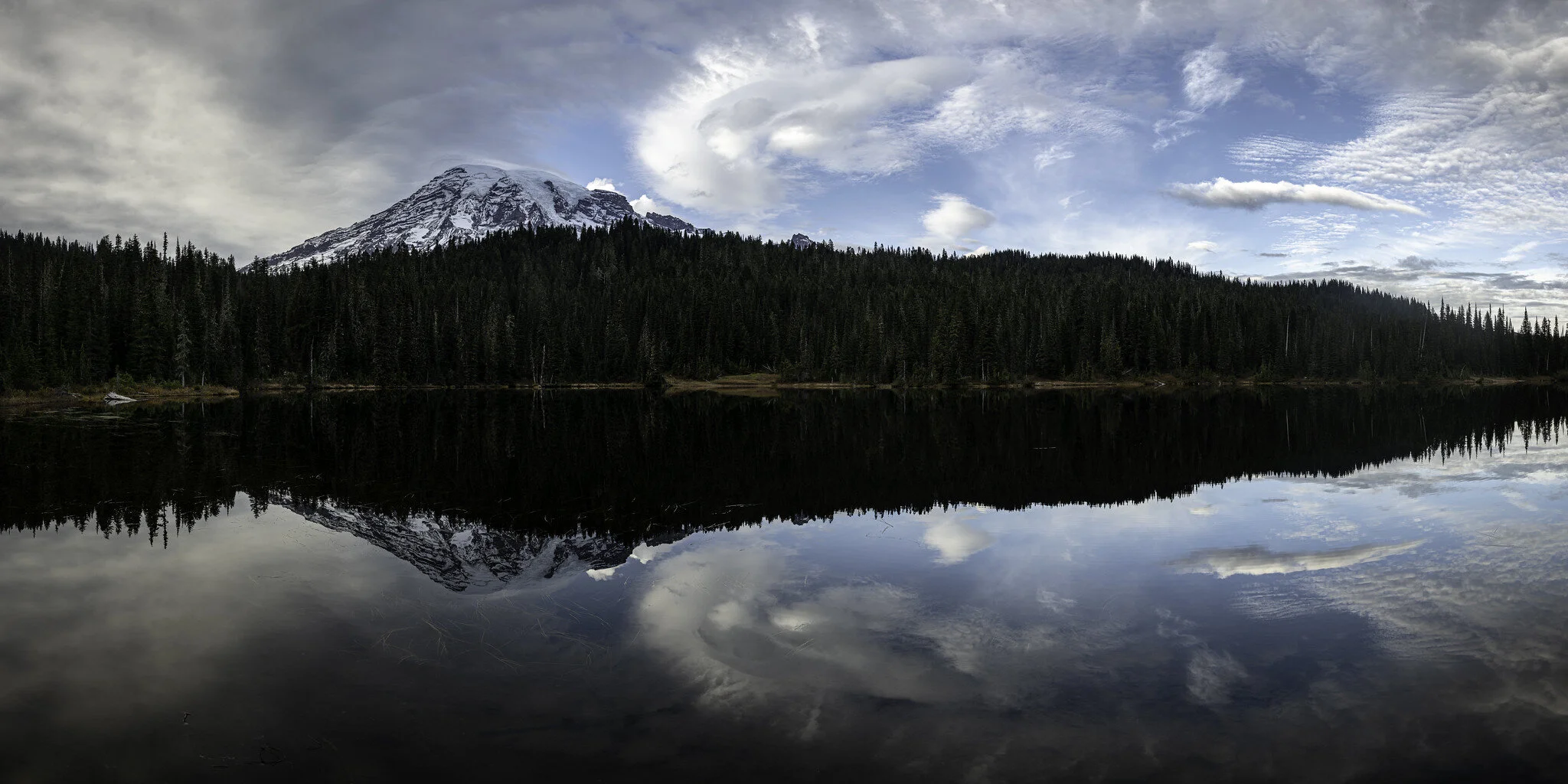 50092376302_b8e55c150f_k.jpg