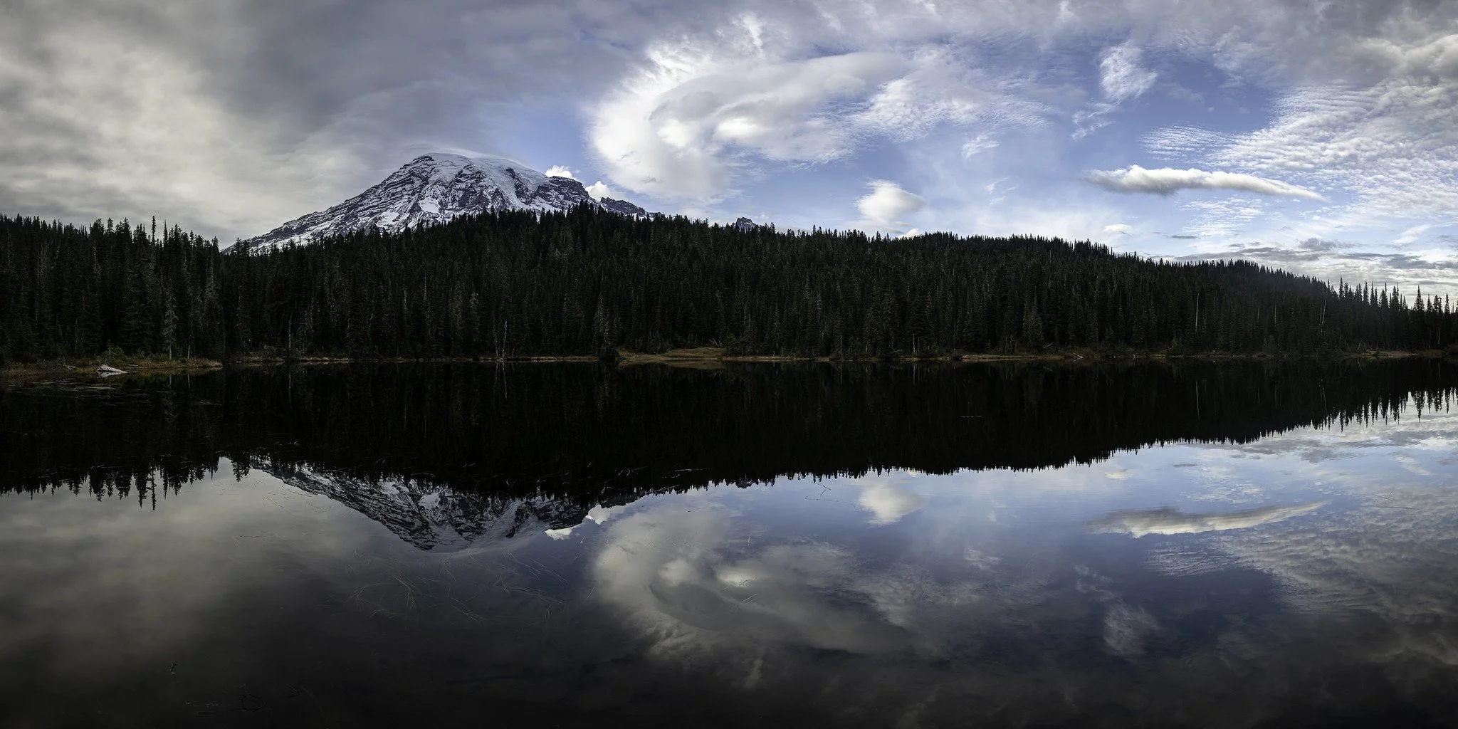 50092376302_b8e55c150f_k.jpg