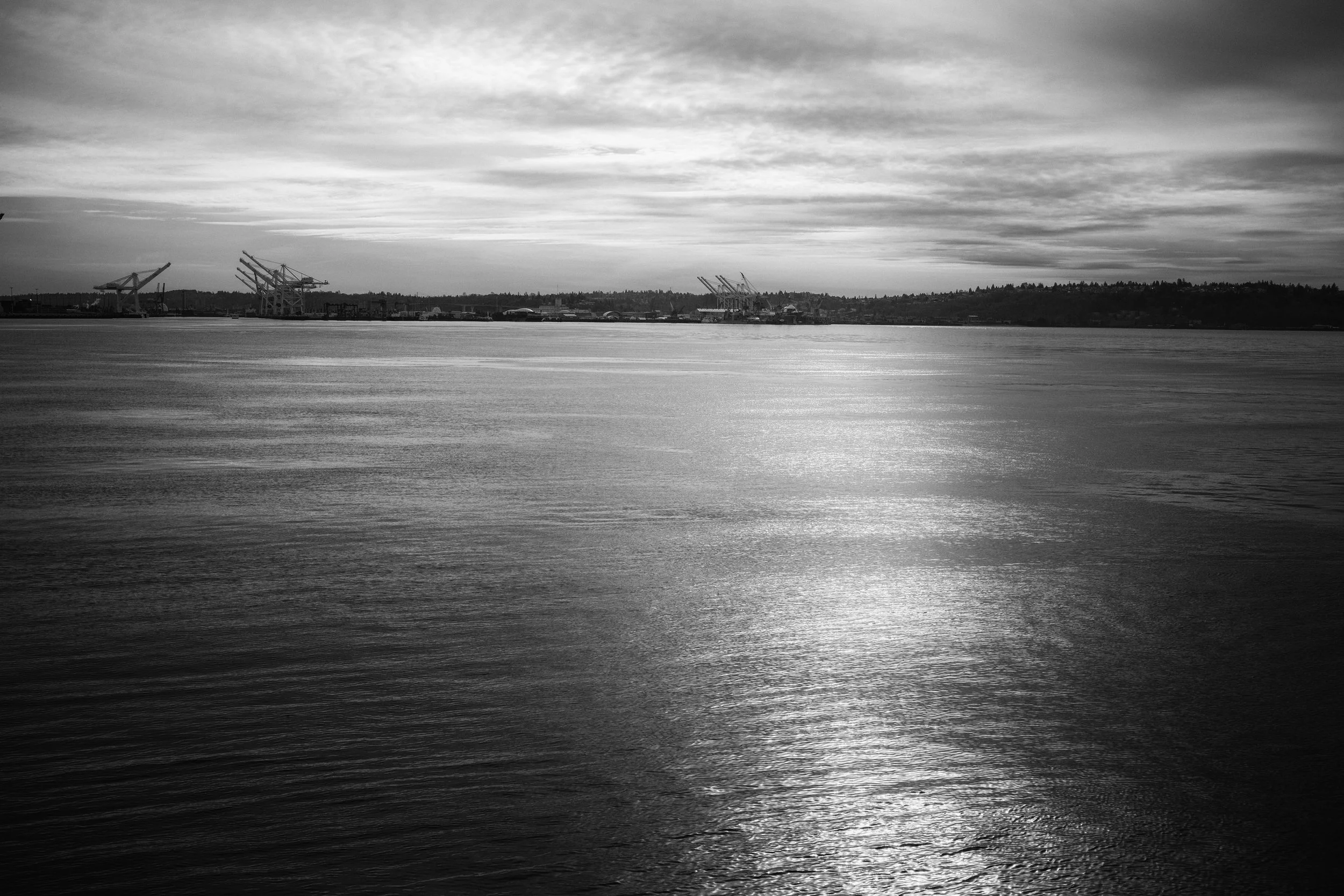 Seattle B&W-11.jpg