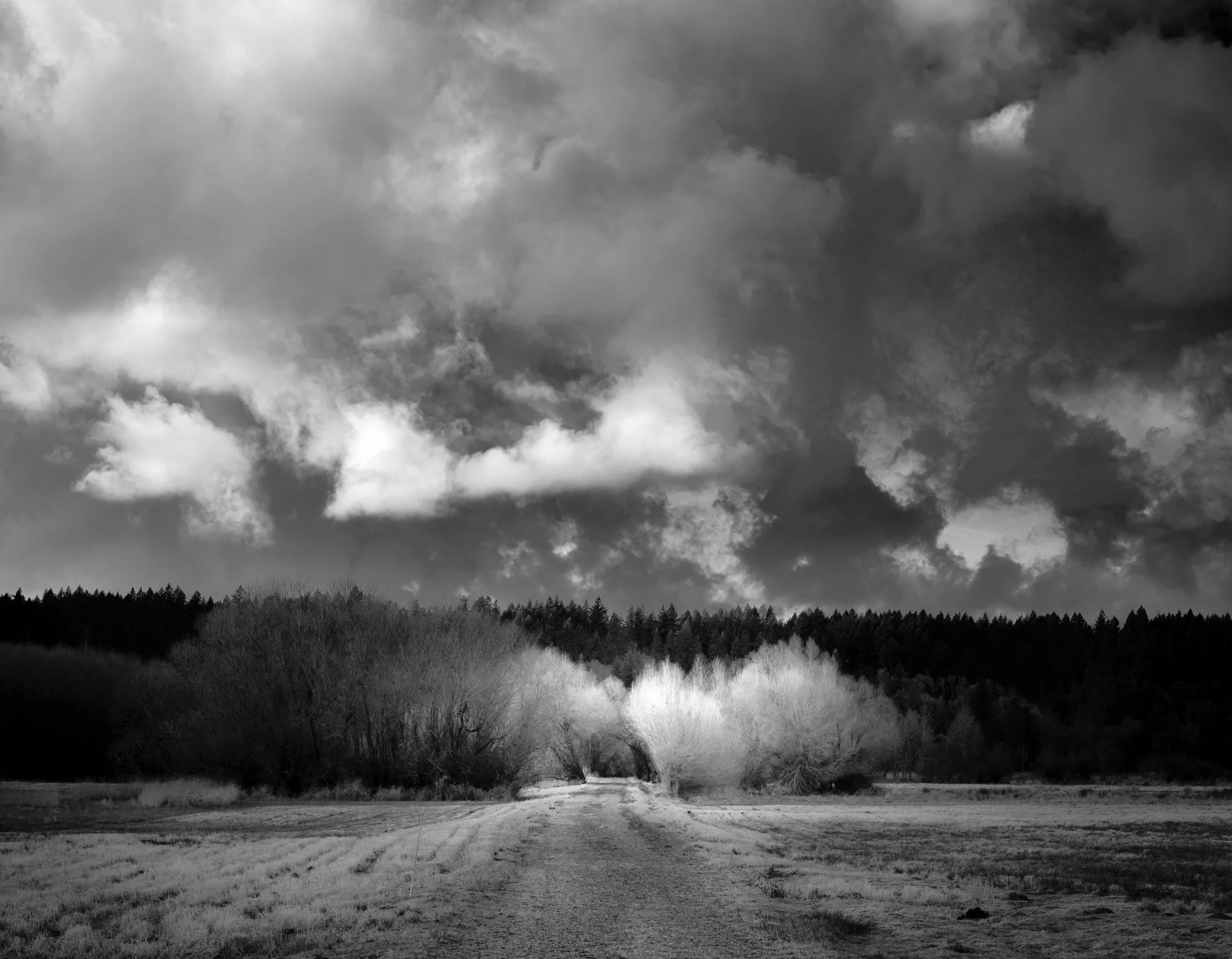 portfolio-36.jpg