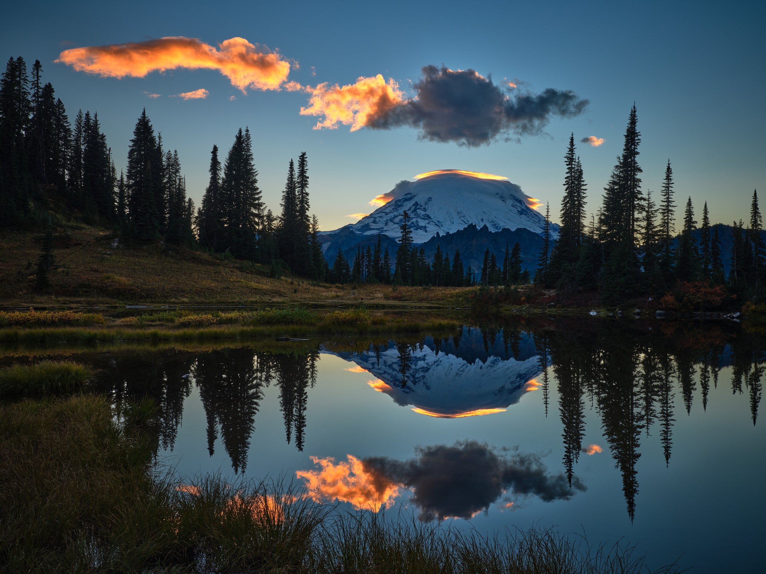 portfolio-85.jpg