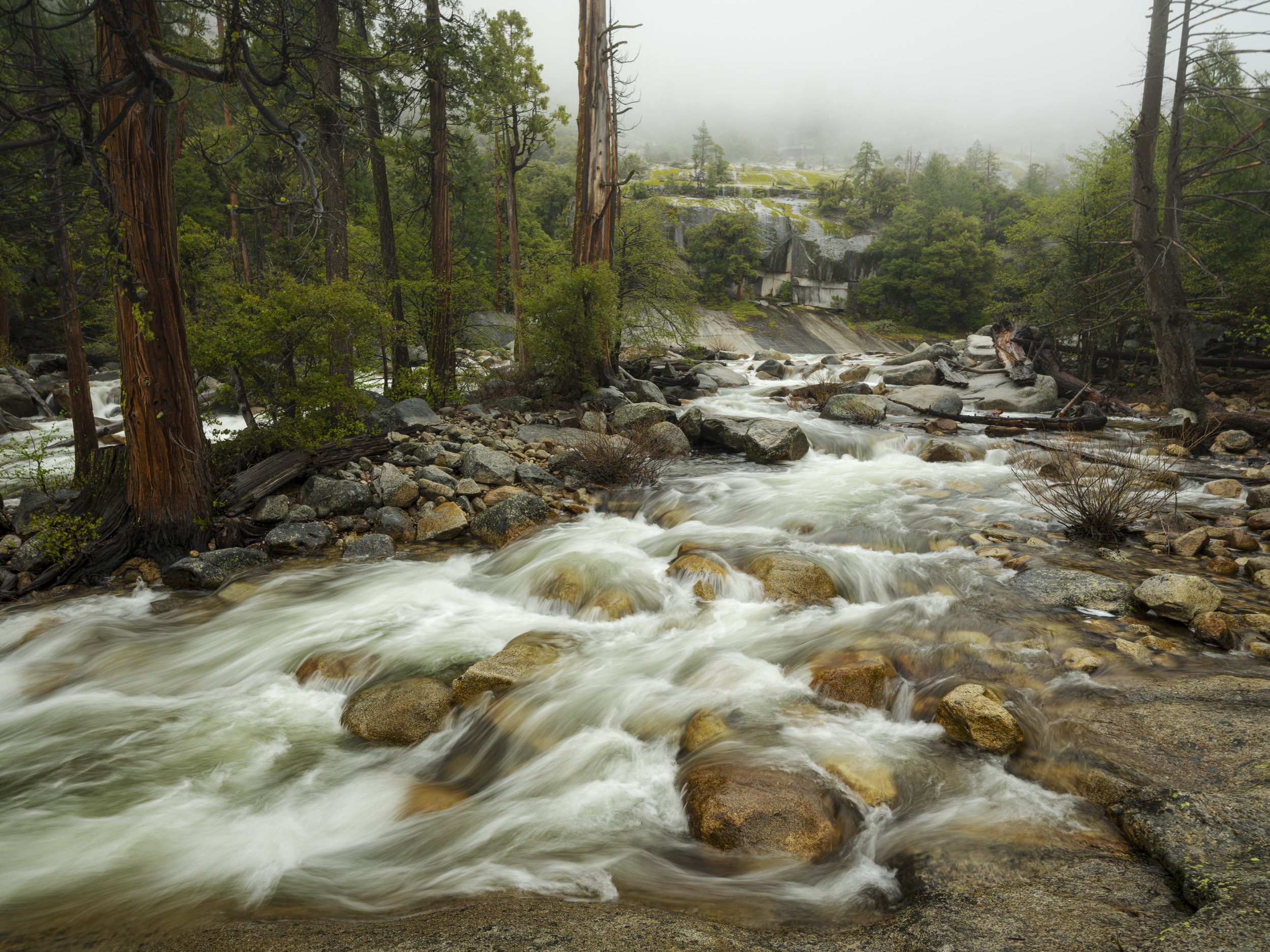 Yosemite-7.jpg